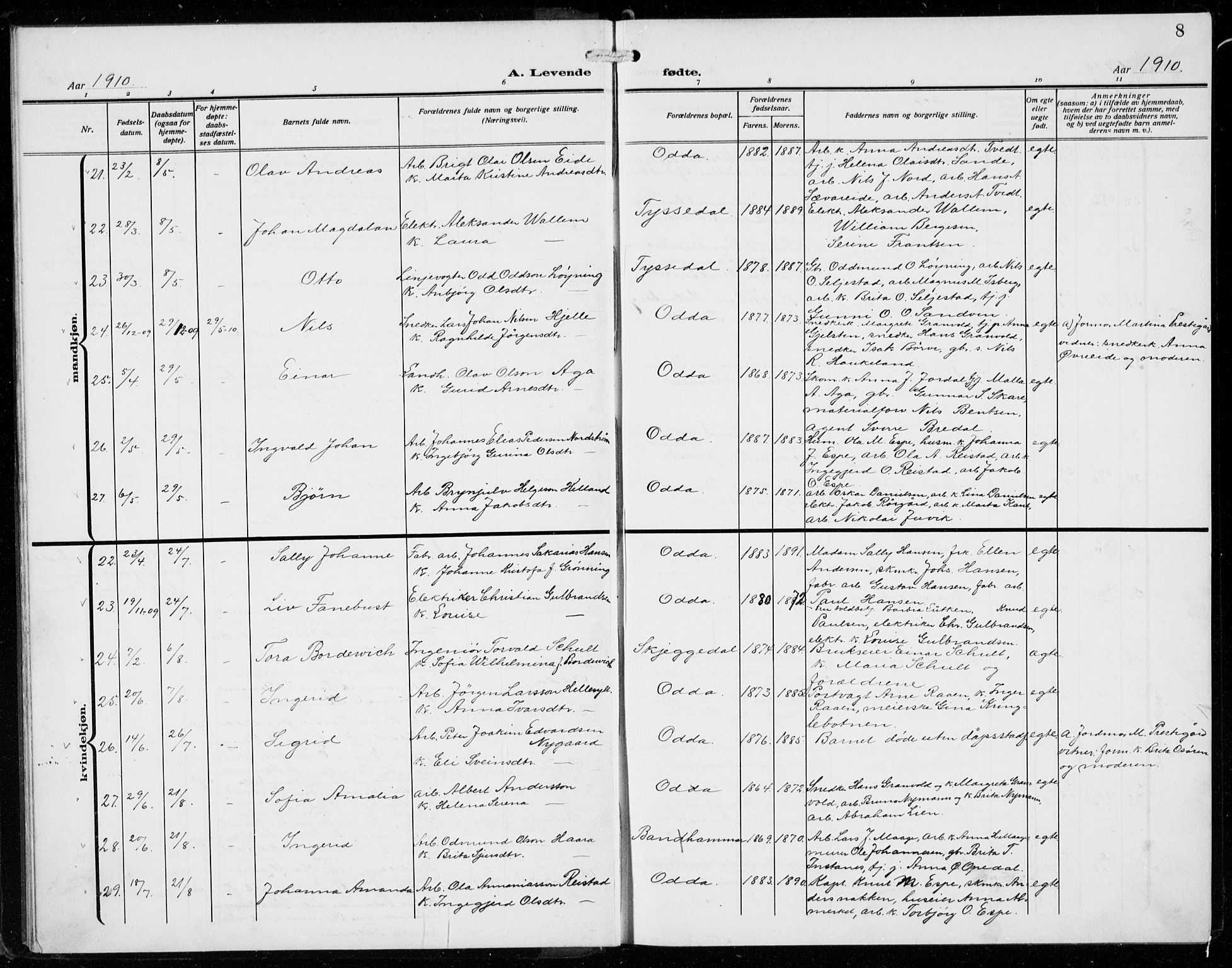Odda Sokneprestembete, AV/SAB-A-77201/H/Hab: Klokkerbok nr. B  2, 1910-1923, s. 8