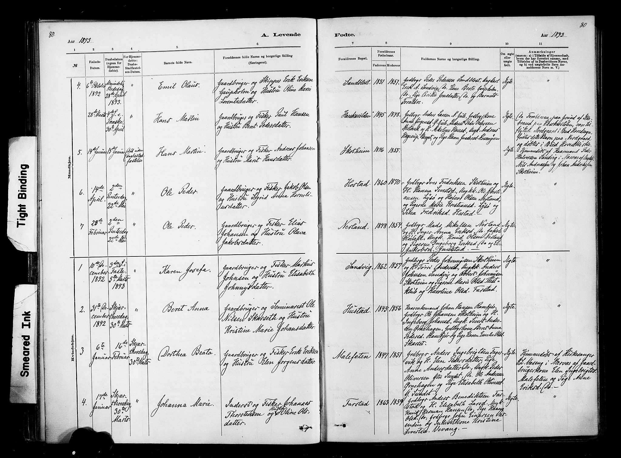 Ministerialprotokoller, klokkerbøker og fødselsregistre - Møre og Romsdal, AV/SAT-A-1454/567/L0778: Ministerialbok nr. 567A01, 1881-1903, s. 80