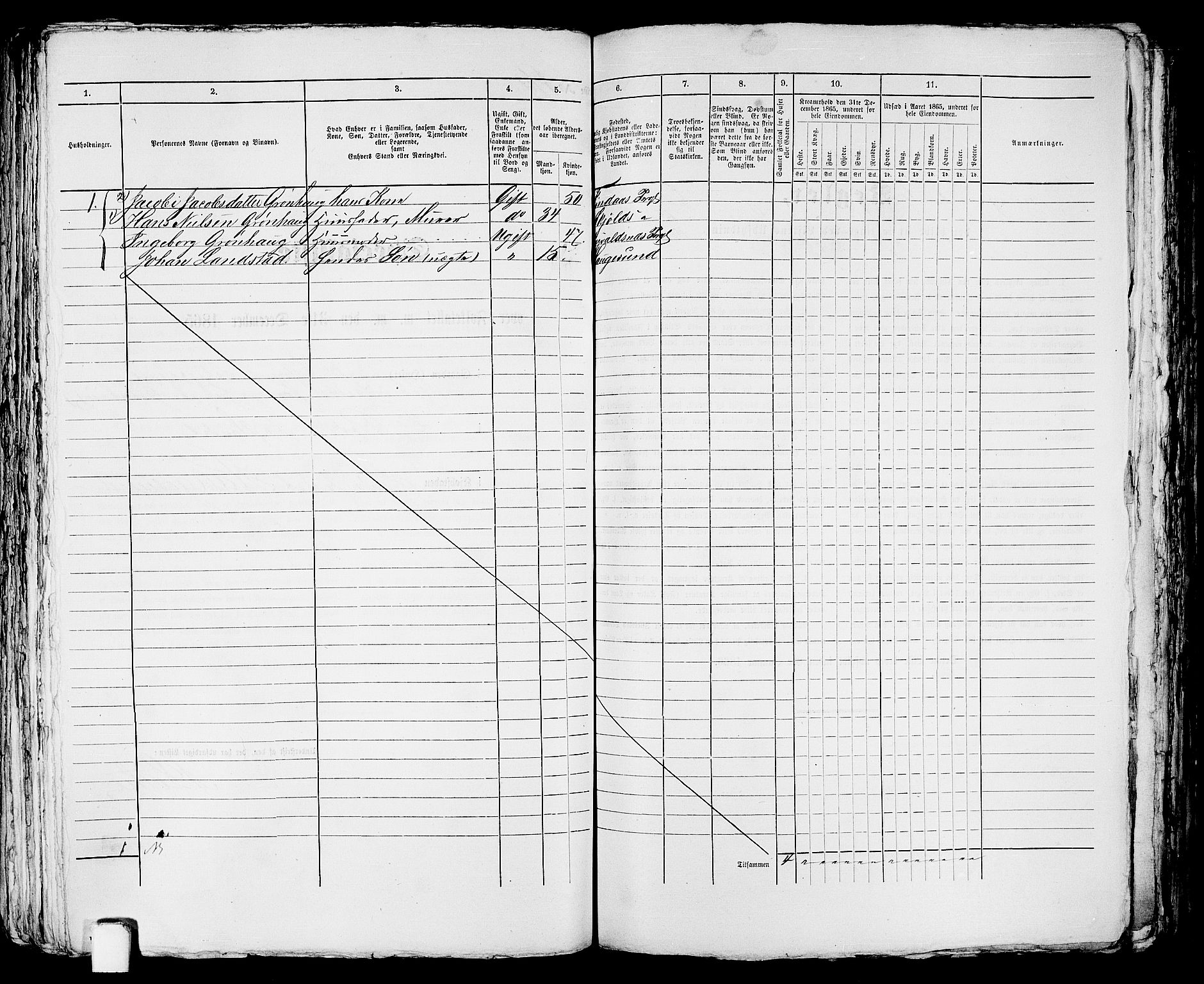 RA, Folketelling 1865 for 1106B Torvastad prestegjeld, Haugesund ladested, 1865, s. 370