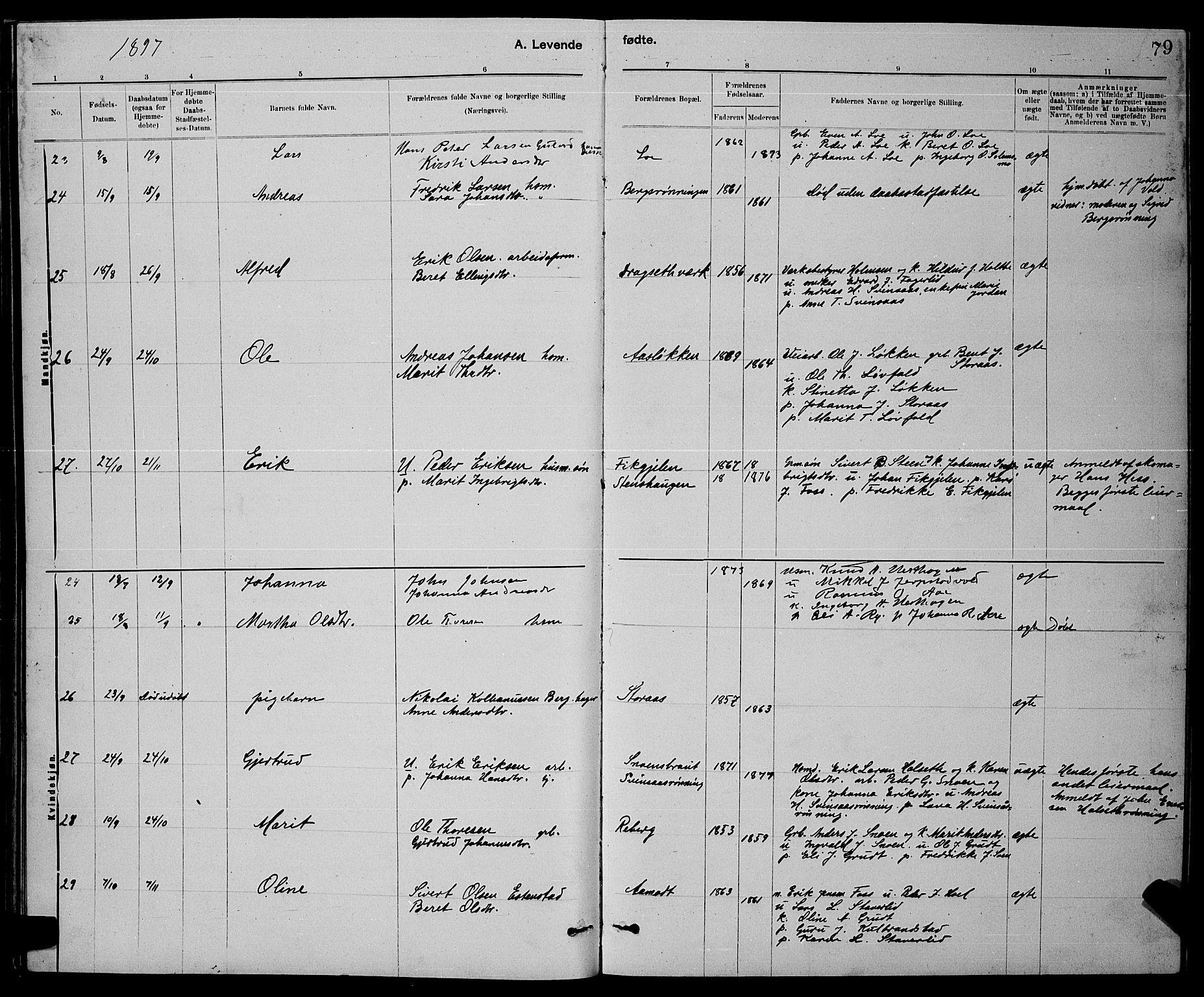 Ministerialprotokoller, klokkerbøker og fødselsregistre - Sør-Trøndelag, AV/SAT-A-1456/672/L0863: Klokkerbok nr. 672C02, 1888-1901, s. 79