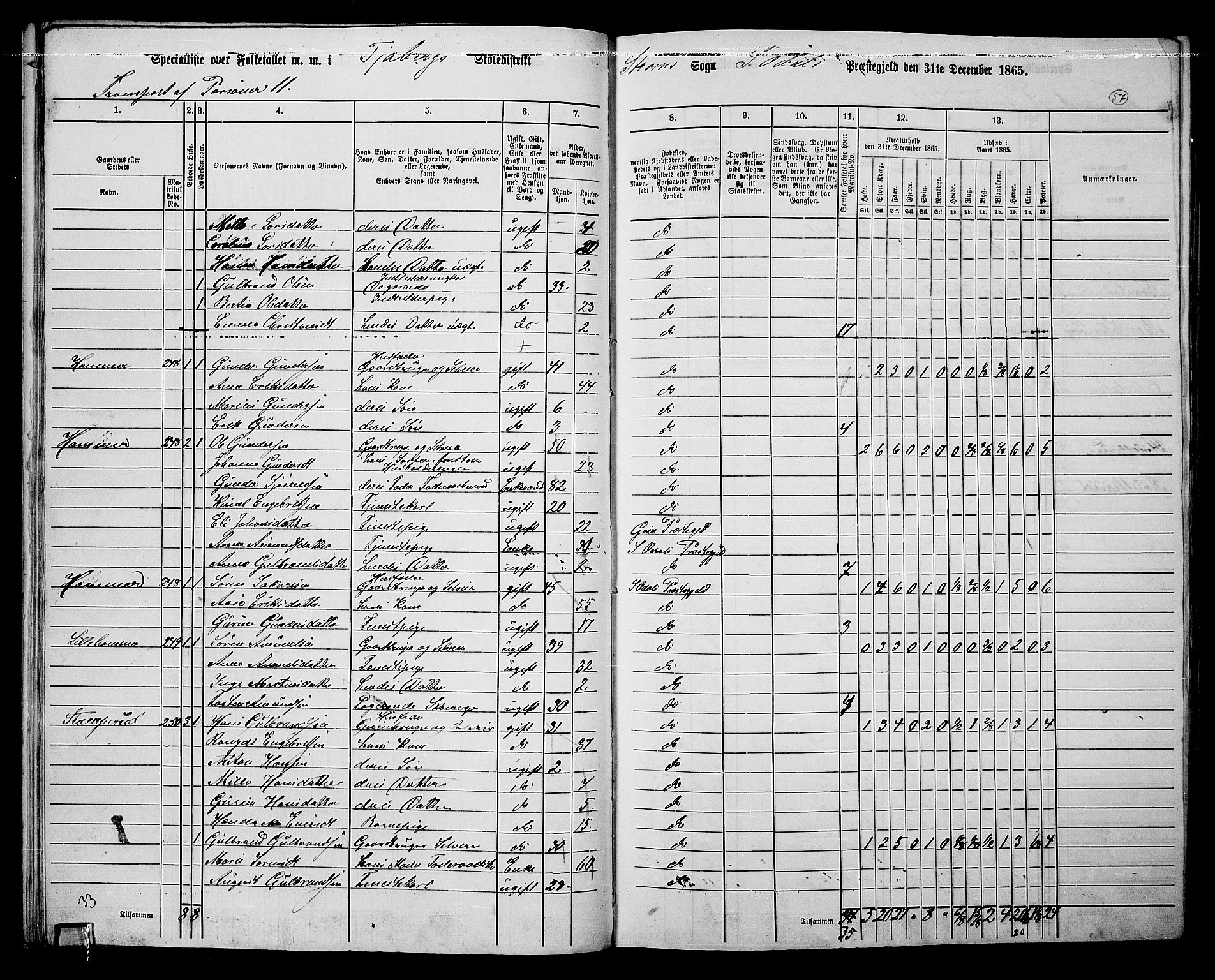 RA, Folketelling 1865 for 0419P Sør-Odal prestegjeld, 1865, s. 49