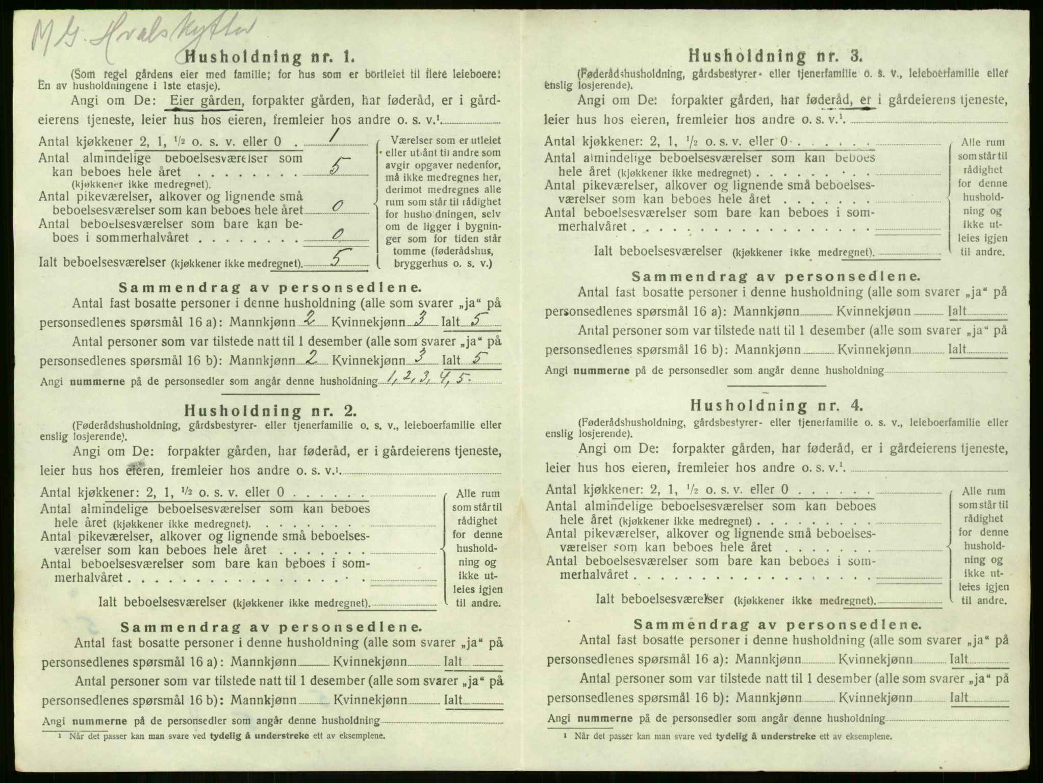 SAKO, Folketelling 1920 for 0722 Nøtterøy herred, 1920, s. 905