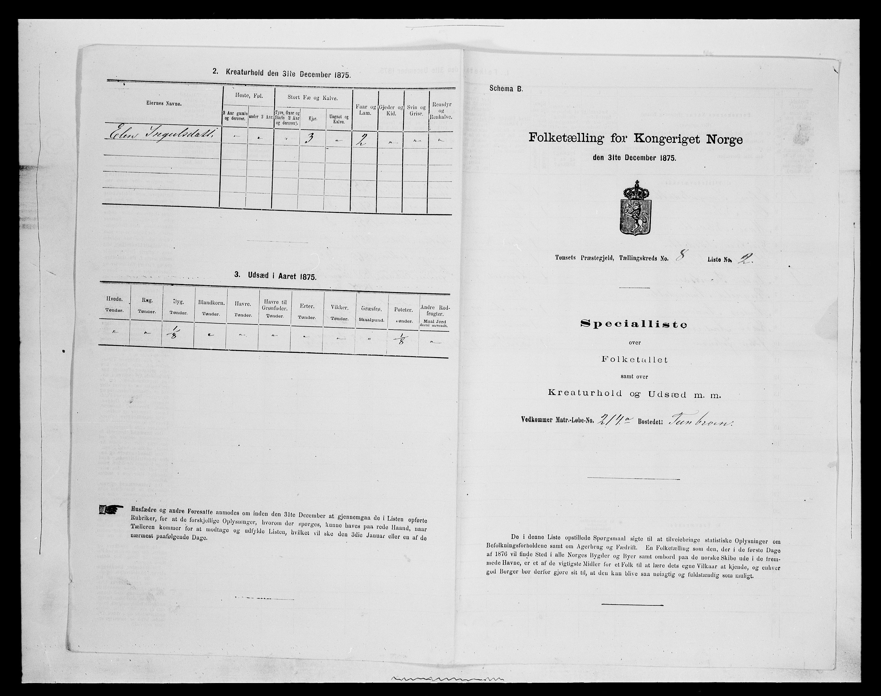 SAH, Folketelling 1875 for 0437P Tynset prestegjeld, 1875, s. 814