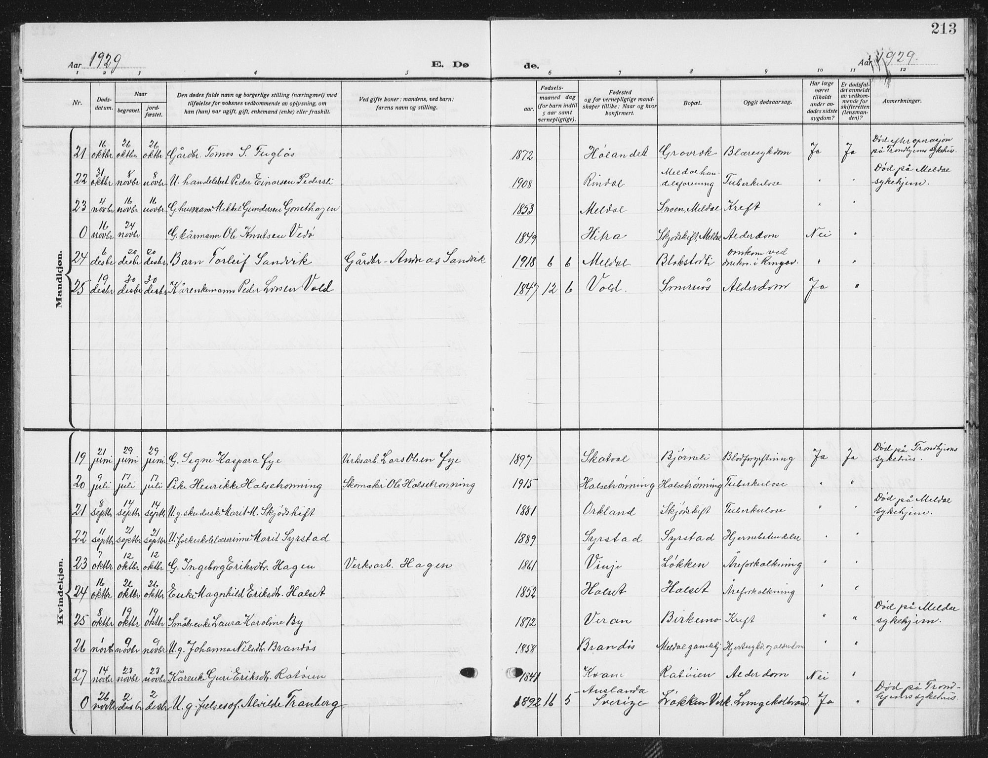 Ministerialprotokoller, klokkerbøker og fødselsregistre - Sør-Trøndelag, SAT/A-1456/672/L0866: Klokkerbok nr. 672C05, 1929-1939, s. 213