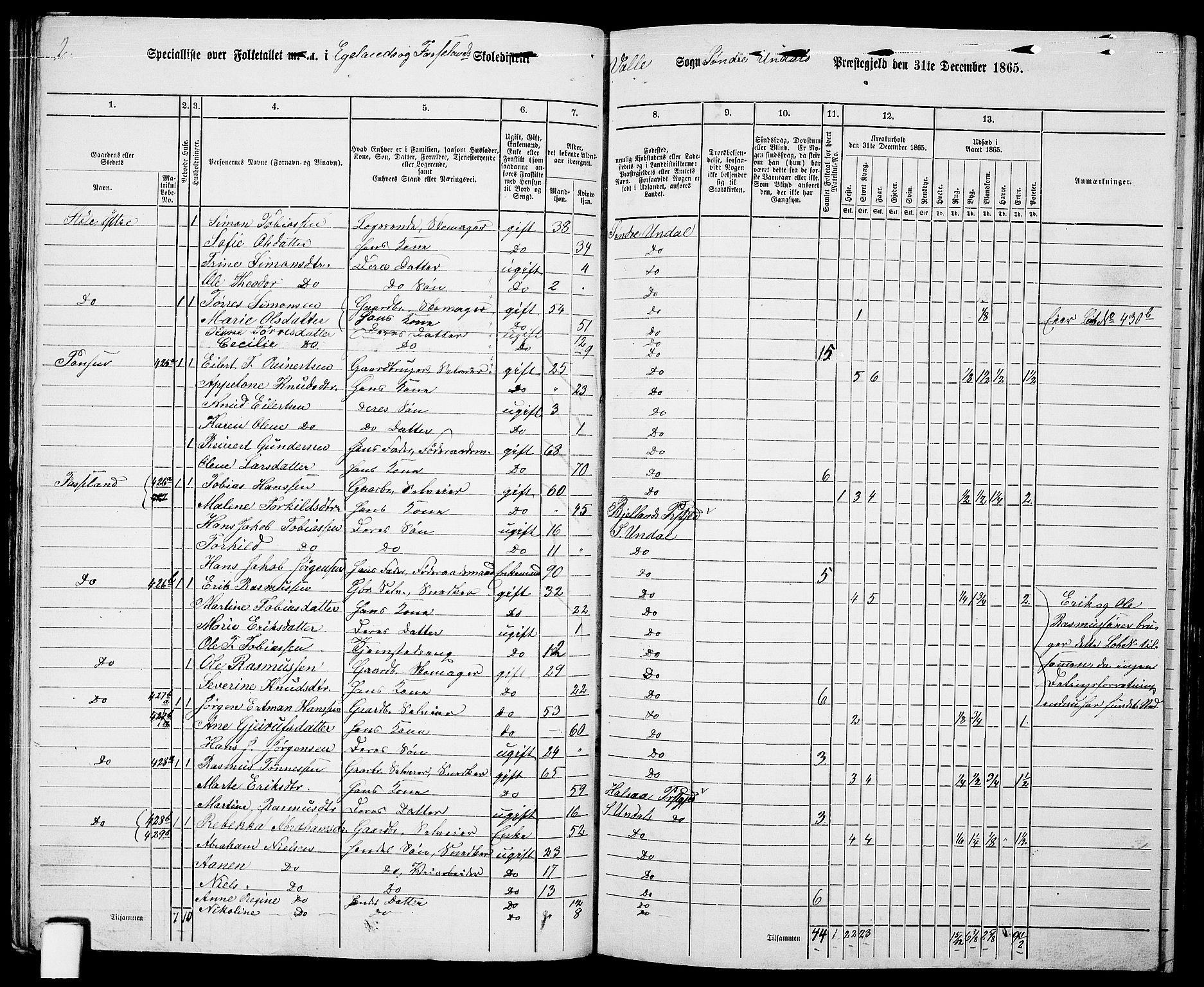 RA, Folketelling 1865 for 1029P Sør-Audnedal prestegjeld, 1865, s. 66