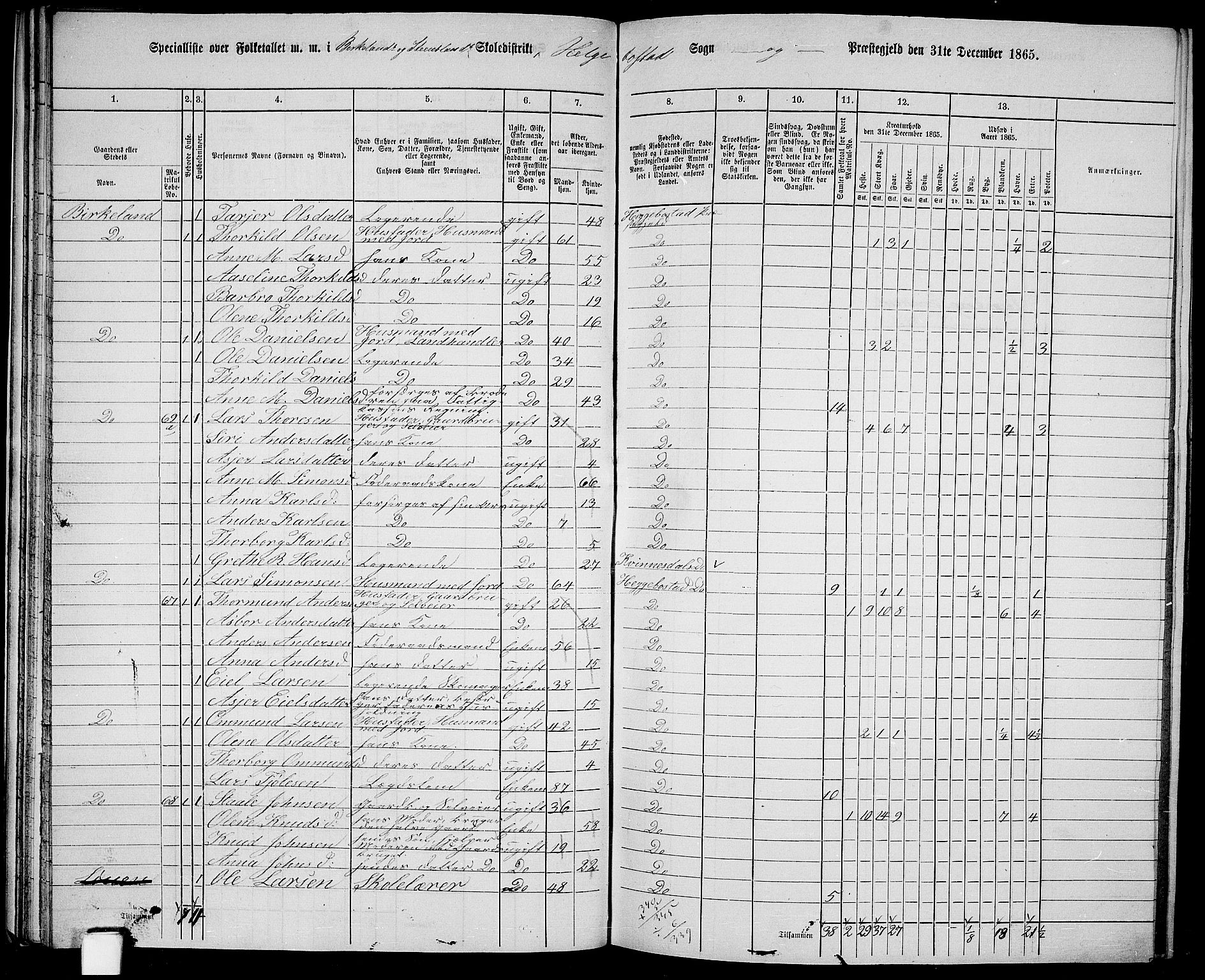 RA, Folketelling 1865 for 1034P Hægebostad prestegjeld, 1865, s. 42