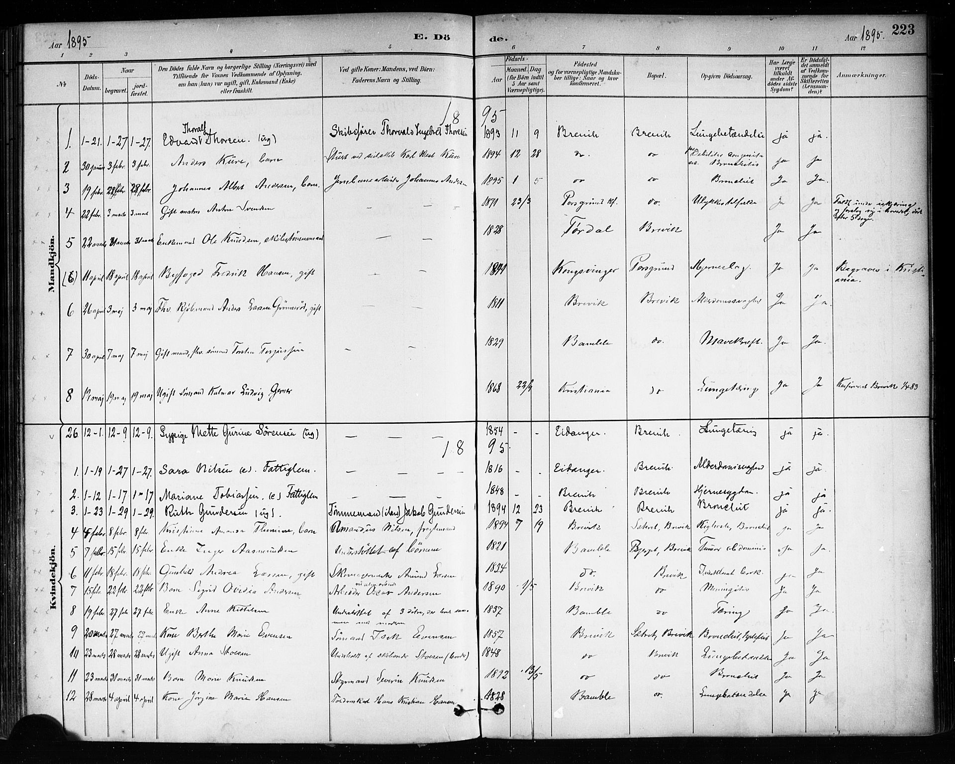 Brevik kirkebøker, AV/SAKO-A-255/F/Fa/L0007: Ministerialbok nr. 7, 1882-1900, s. 223