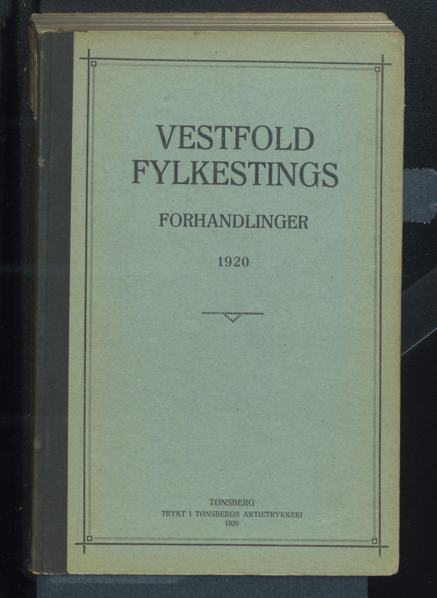 Vestfold fylkeskommune. Fylkestinget, VEMU/A-1315/A/Ab/Abb/L0069: Fylkestingsforhandlinger, 1920