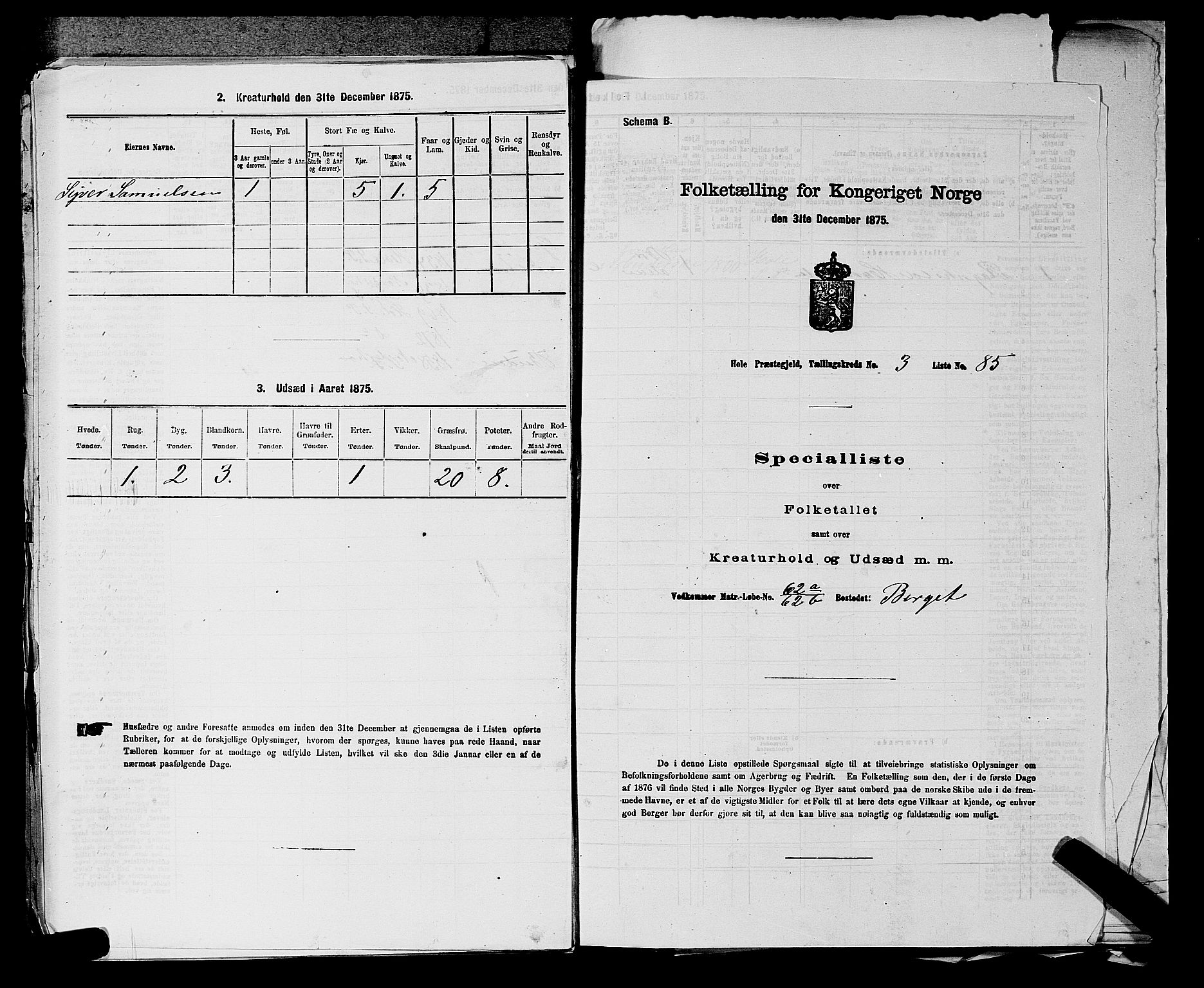 SAKO, Folketelling 1875 for 0612P Hole prestegjeld, 1875, s. 629