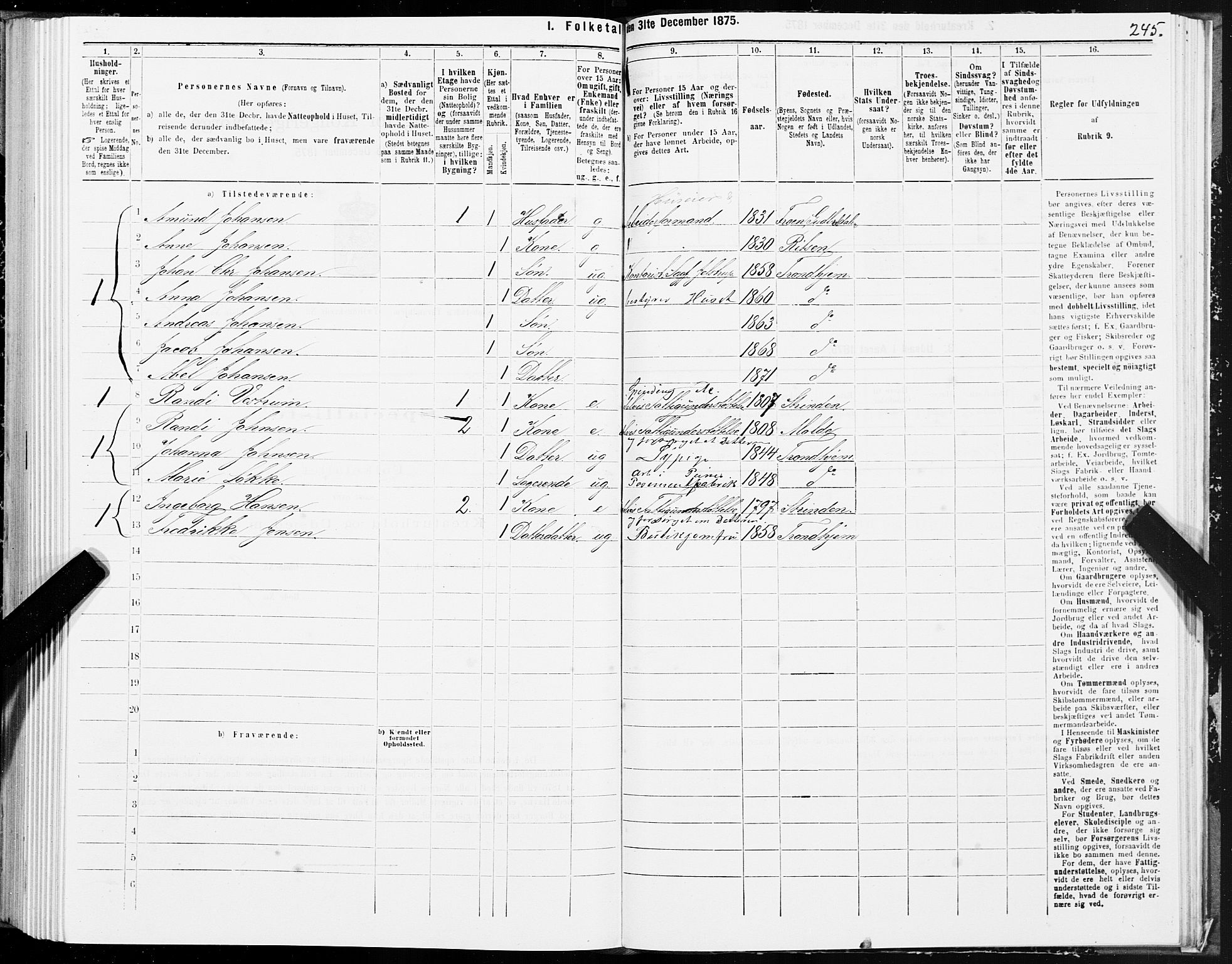 SAT, Folketelling 1875 for 1601 Trondheim kjøpstad, 1875, s. 1245