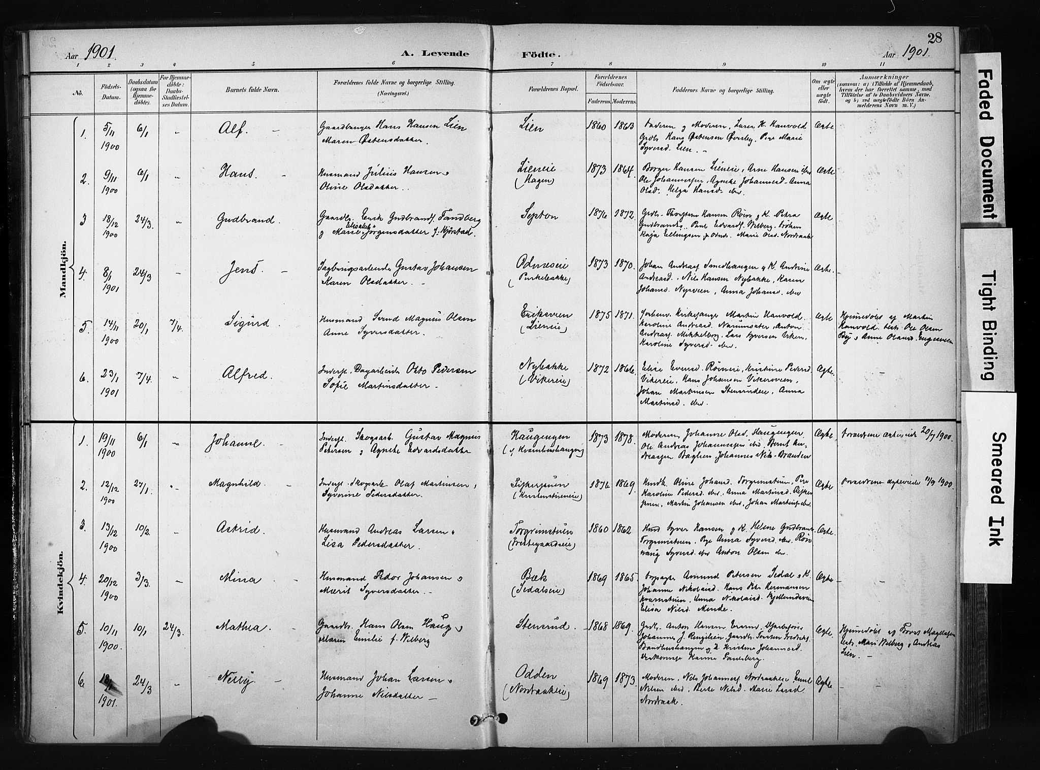 Søndre Land prestekontor, AV/SAH-PREST-122/K/L0004: Ministerialbok nr. 4, 1895-1904, s. 28