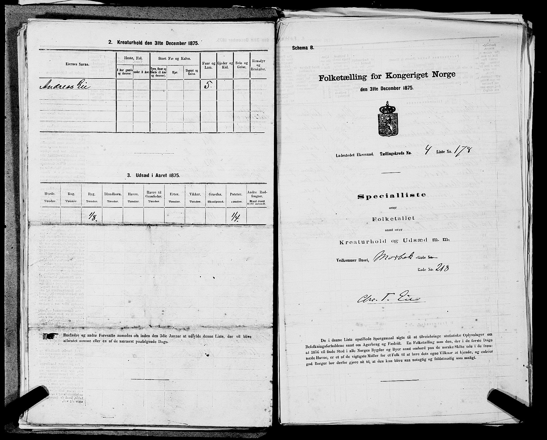 SAST, Folketelling 1875 for 1101B Eigersund prestegjeld, Egersund ladested, 1875, s. 382