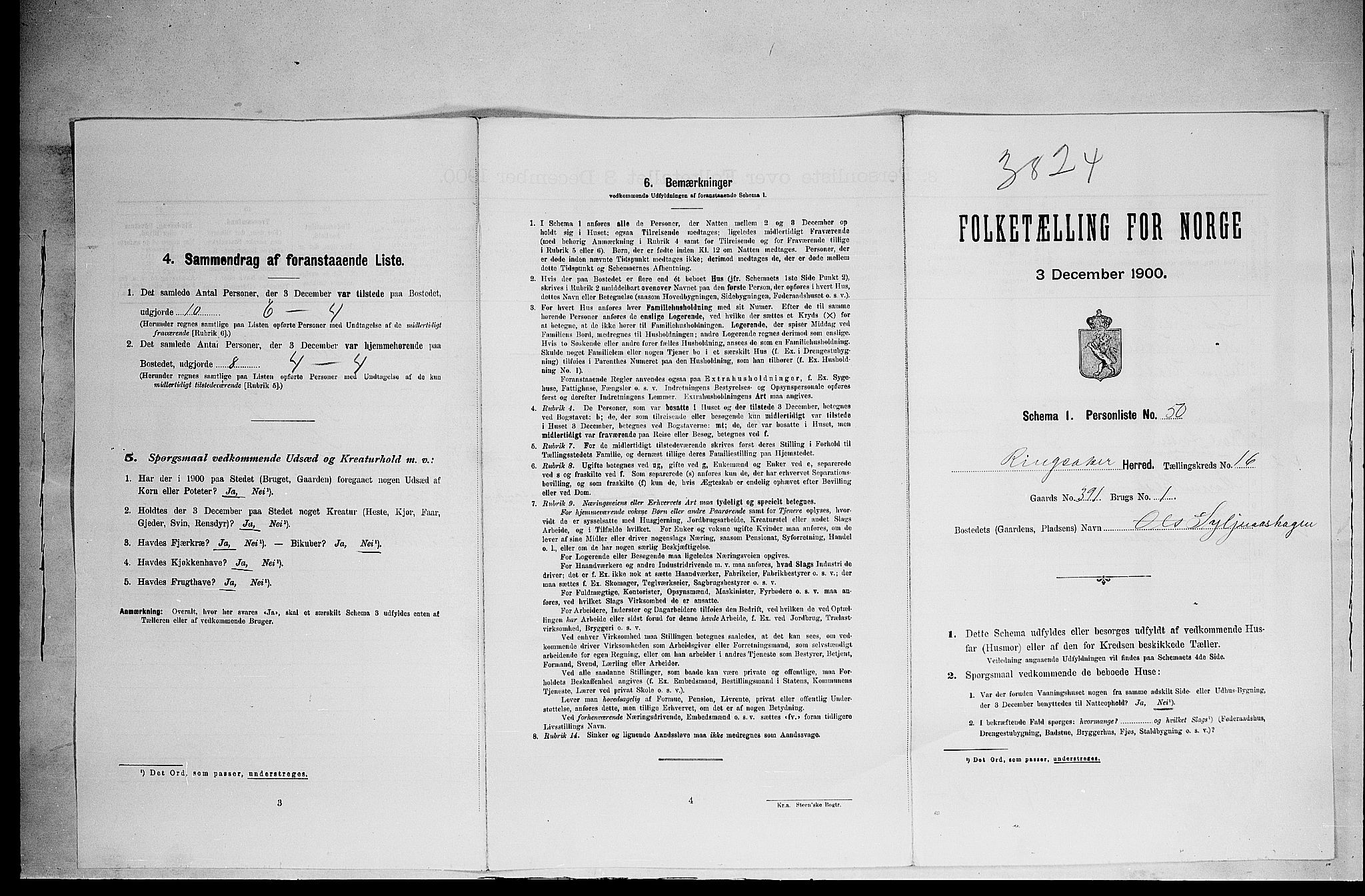 SAH, Folketelling 1900 for 0412 Ringsaker herred, 1900, s. 3046