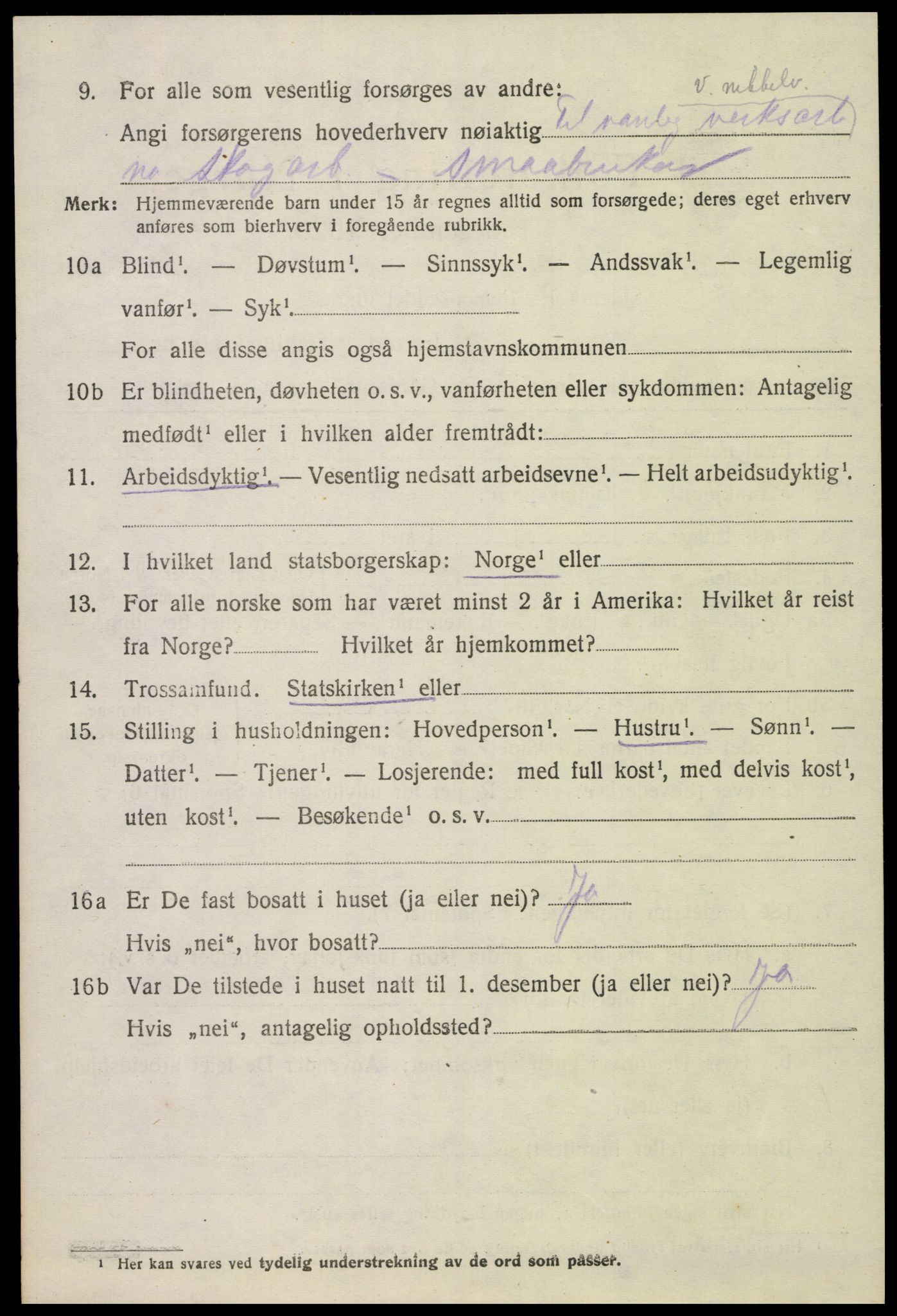 SAK, Folketelling 1920 for 0936 Hornnes herred, 1920, s. 966