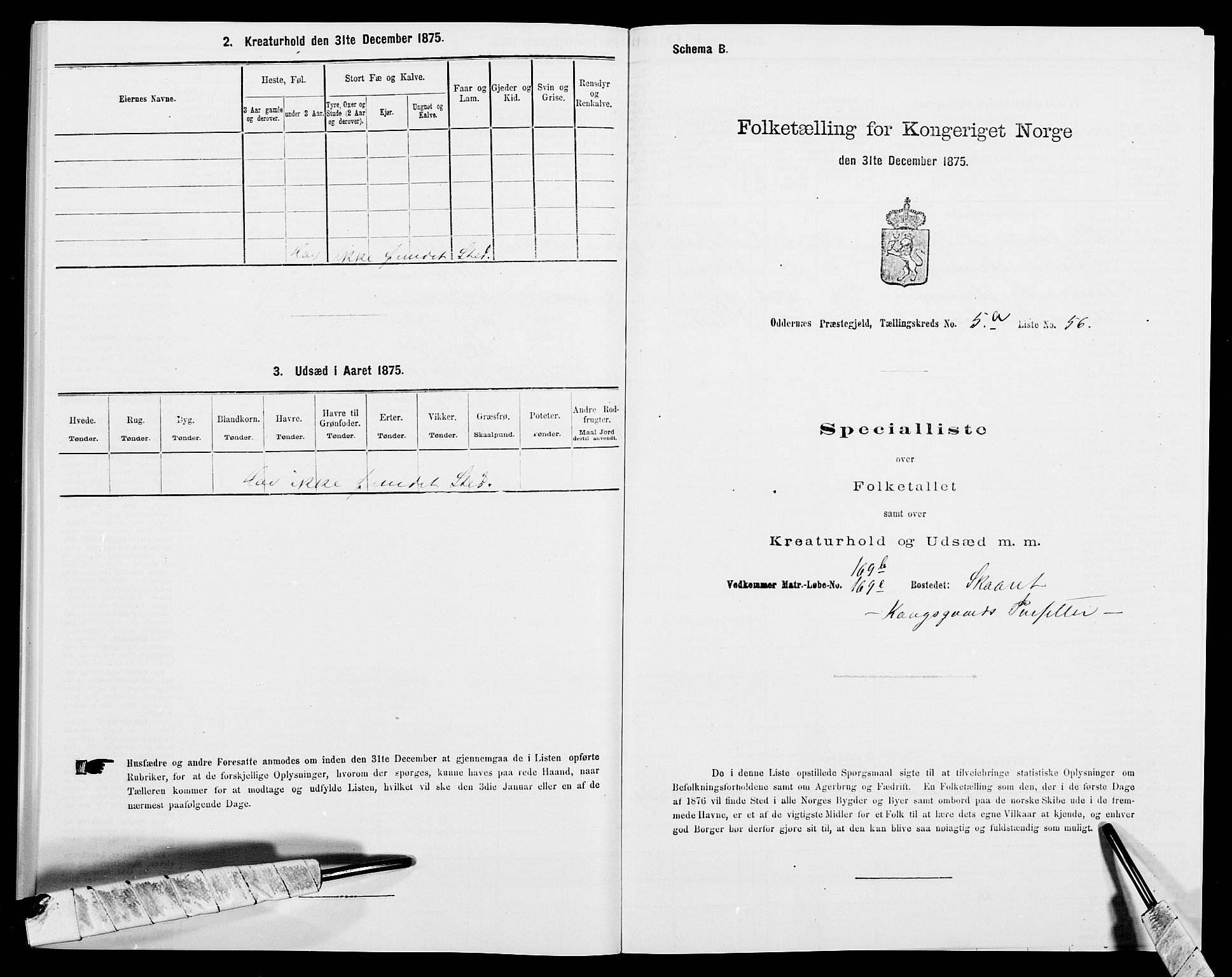 SAK, Folketelling 1875 for 1012P Oddernes prestegjeld, 1875, s. 835