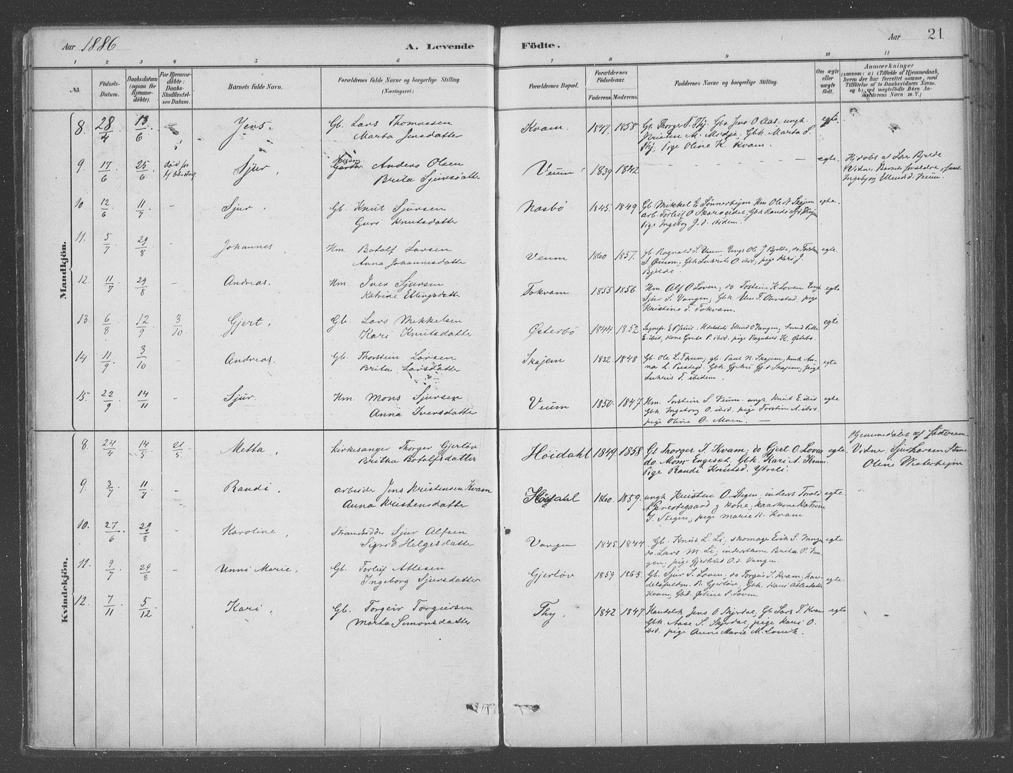 Aurland sokneprestembete, SAB/A-99937/H/Ha/Hab/L0001: Ministerialbok nr. B  1, 1880-1909, s. 21