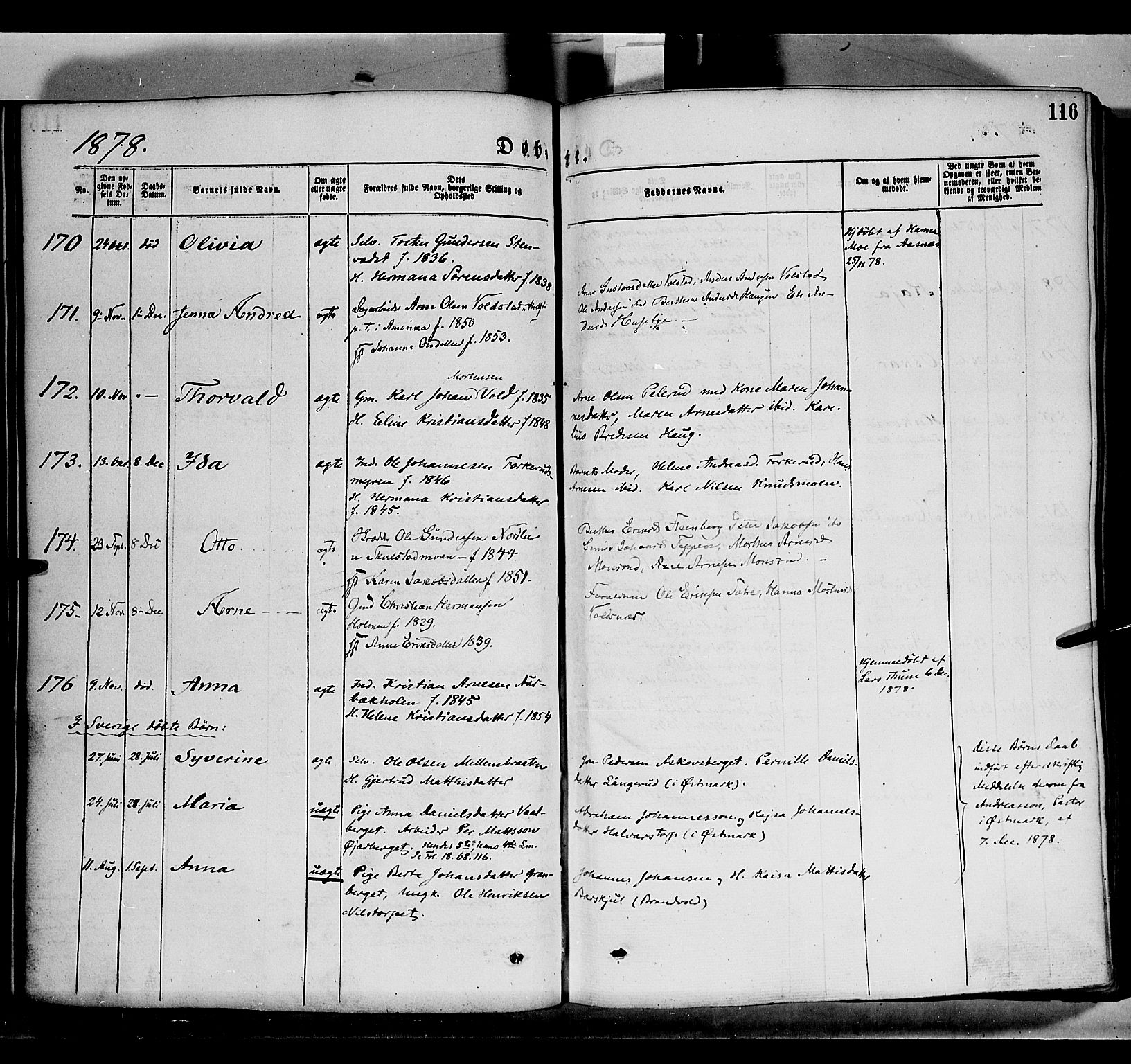 Grue prestekontor, AV/SAH-PREST-036/H/Ha/Haa/L0011: Ministerialbok nr. 11, 1873-1880, s. 116