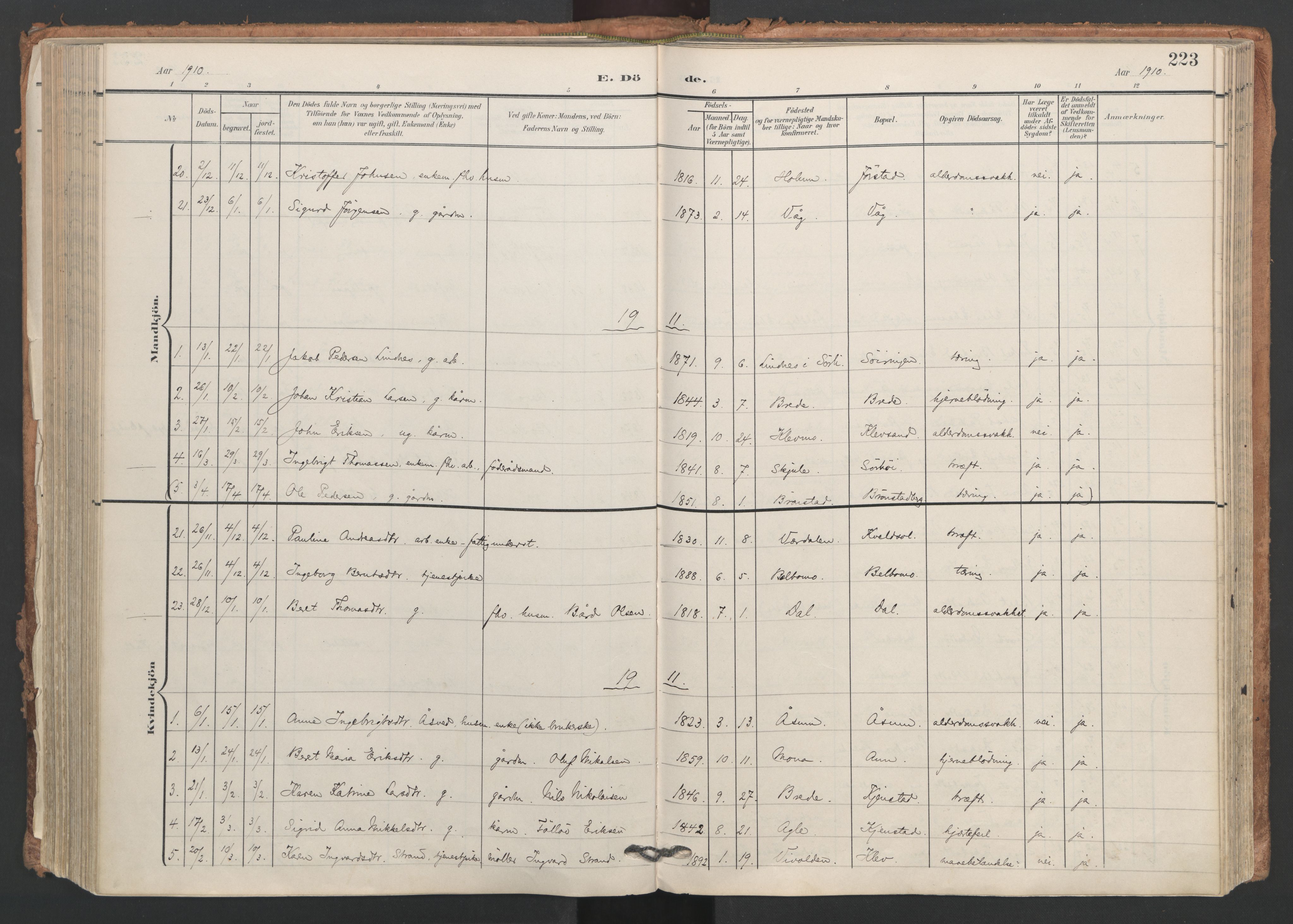Ministerialprotokoller, klokkerbøker og fødselsregistre - Nord-Trøndelag, AV/SAT-A-1458/749/L0477: Ministerialbok nr. 749A11, 1902-1927, s. 223