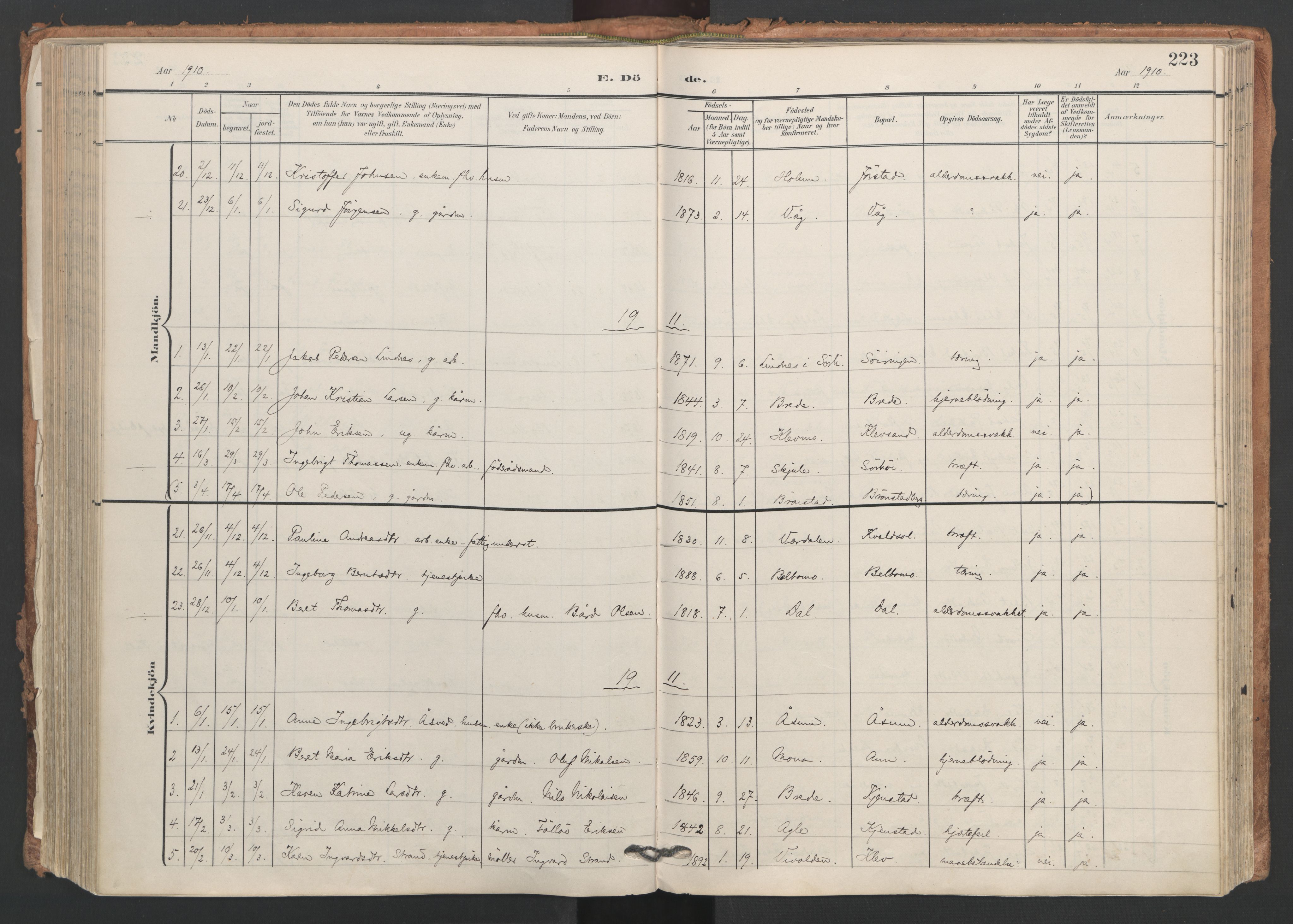 Ministerialprotokoller, klokkerbøker og fødselsregistre - Nord-Trøndelag, SAT/A-1458/749/L0477: Ministerialbok nr. 749A11, 1902-1927, s. 223