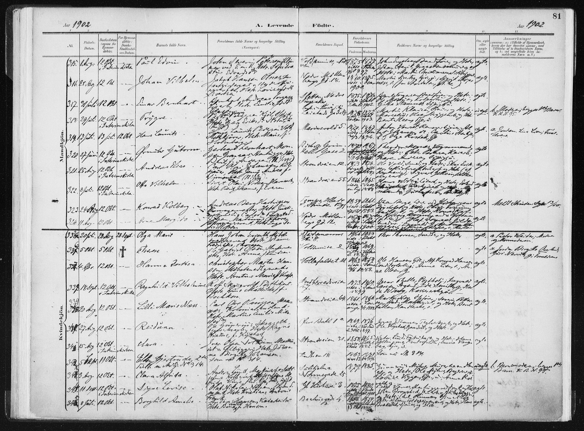 Ministerialprotokoller, klokkerbøker og fødselsregistre - Sør-Trøndelag, SAT/A-1456/604/L0199: Ministerialbok nr. 604A20I, 1901-1906, s. 81