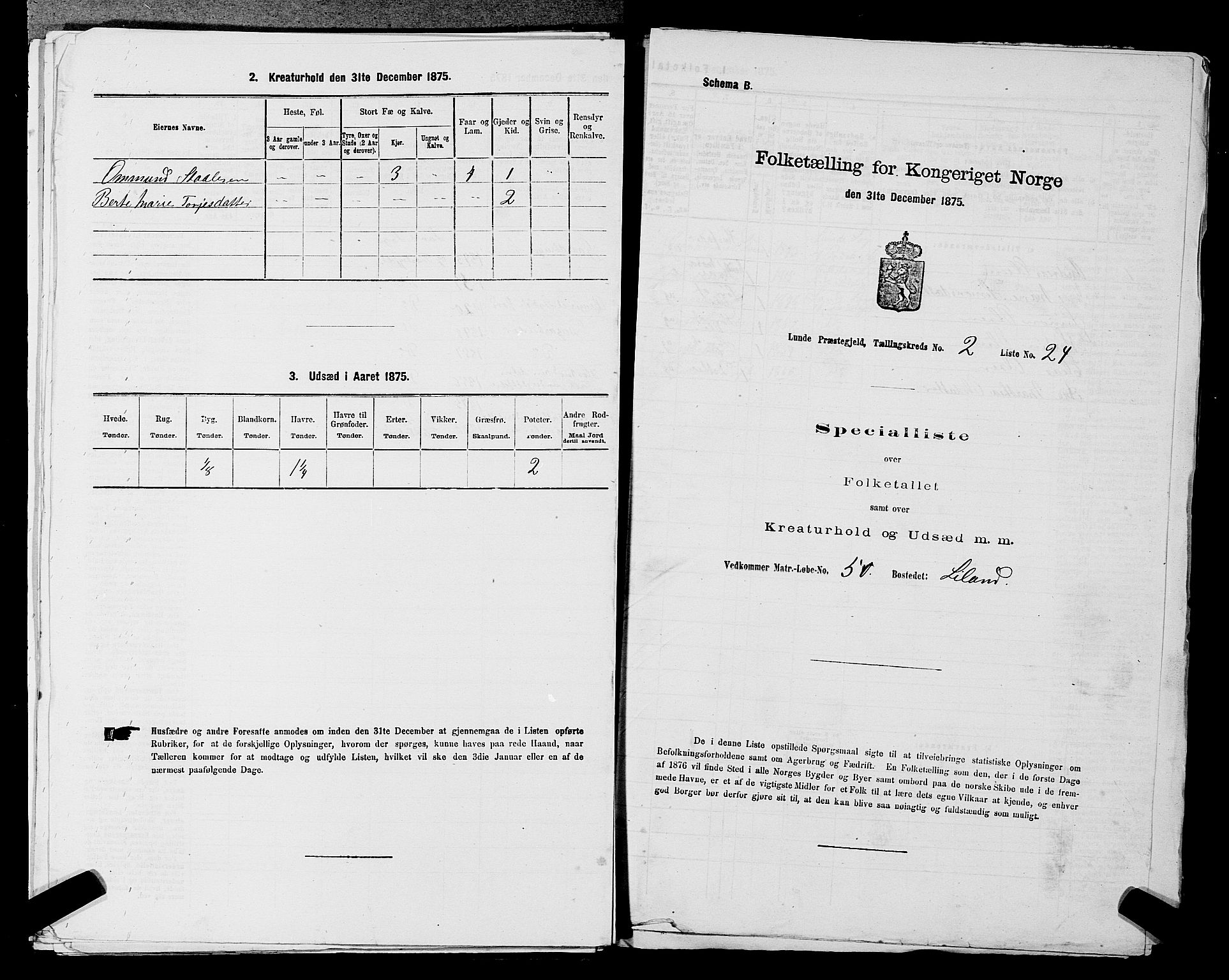 SAST, Folketelling 1875 for 1112P Lund prestegjeld, 1875, s. 153