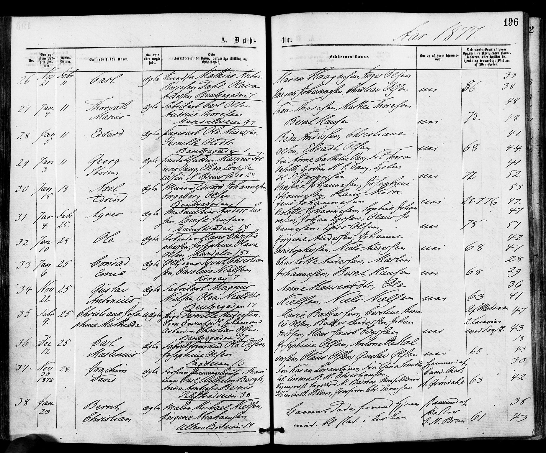 Gamle Aker prestekontor Kirkebøker, AV/SAO-A-10617a/F/L0004: Ministerialbok nr. 4, 1872-1879, s. 196