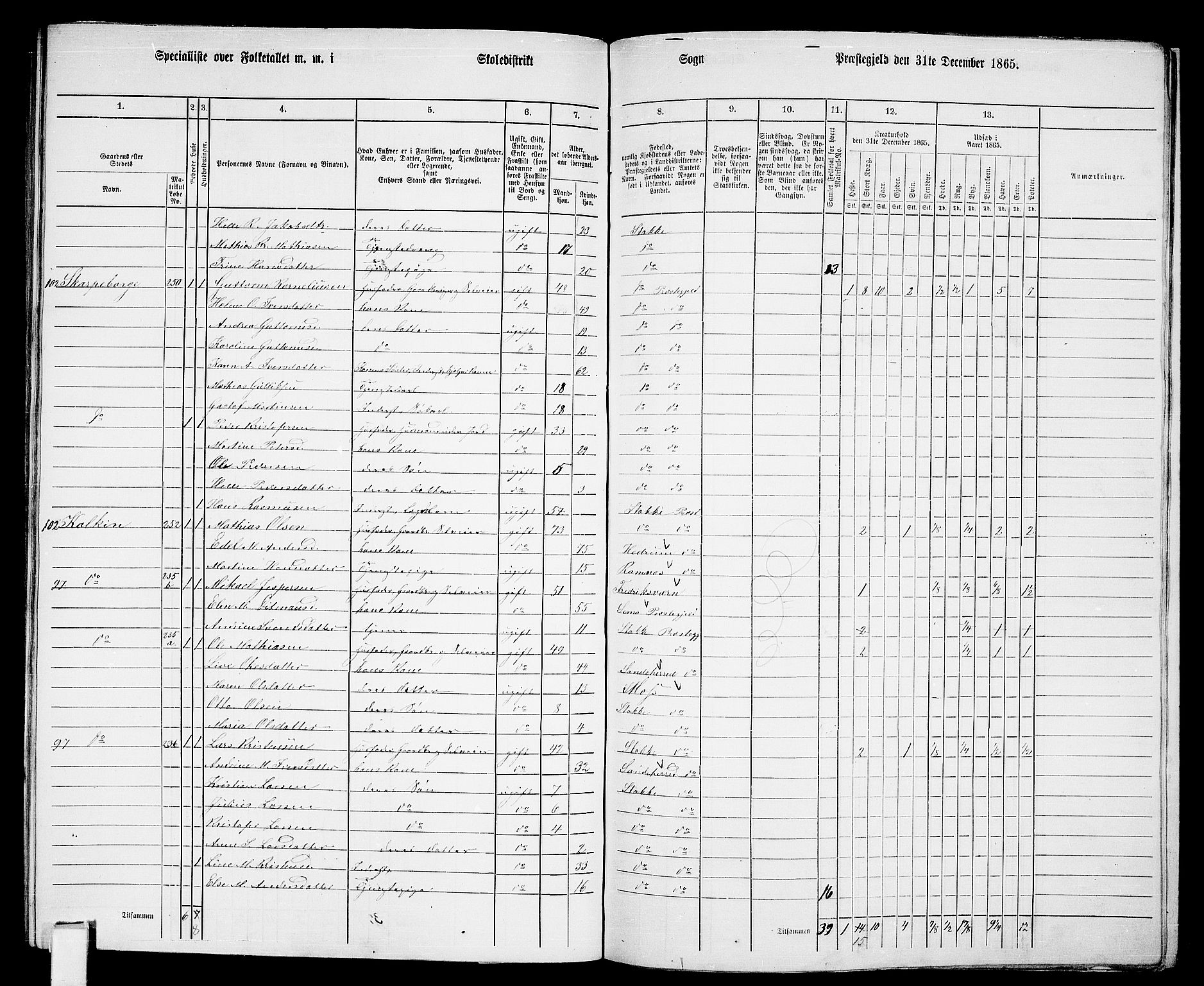 RA, Folketelling 1865 for 0720P Stokke prestegjeld, 1865, s. 133