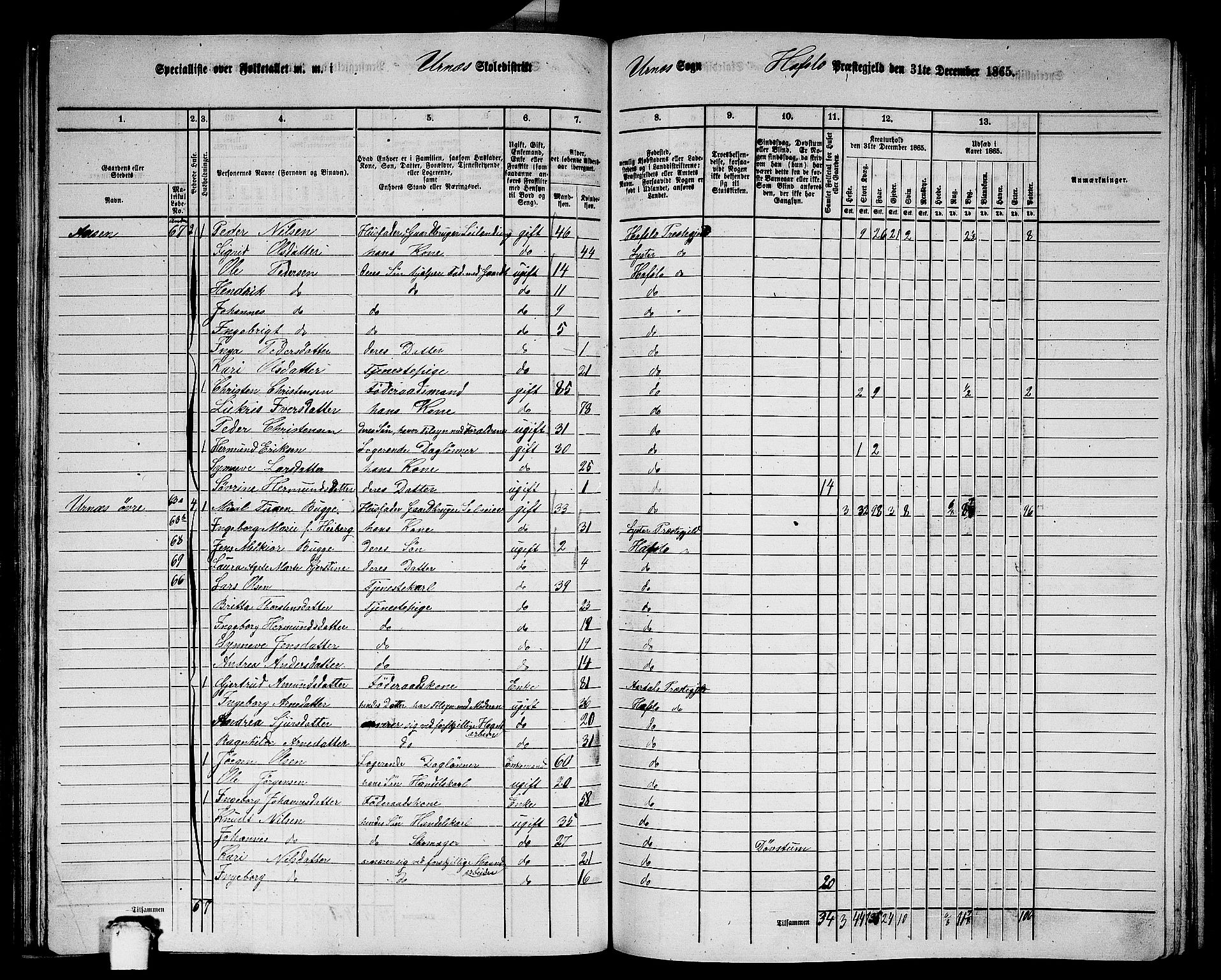 RA, Folketelling 1865 for 1425P Hafslo prestegjeld, 1865, s. 88