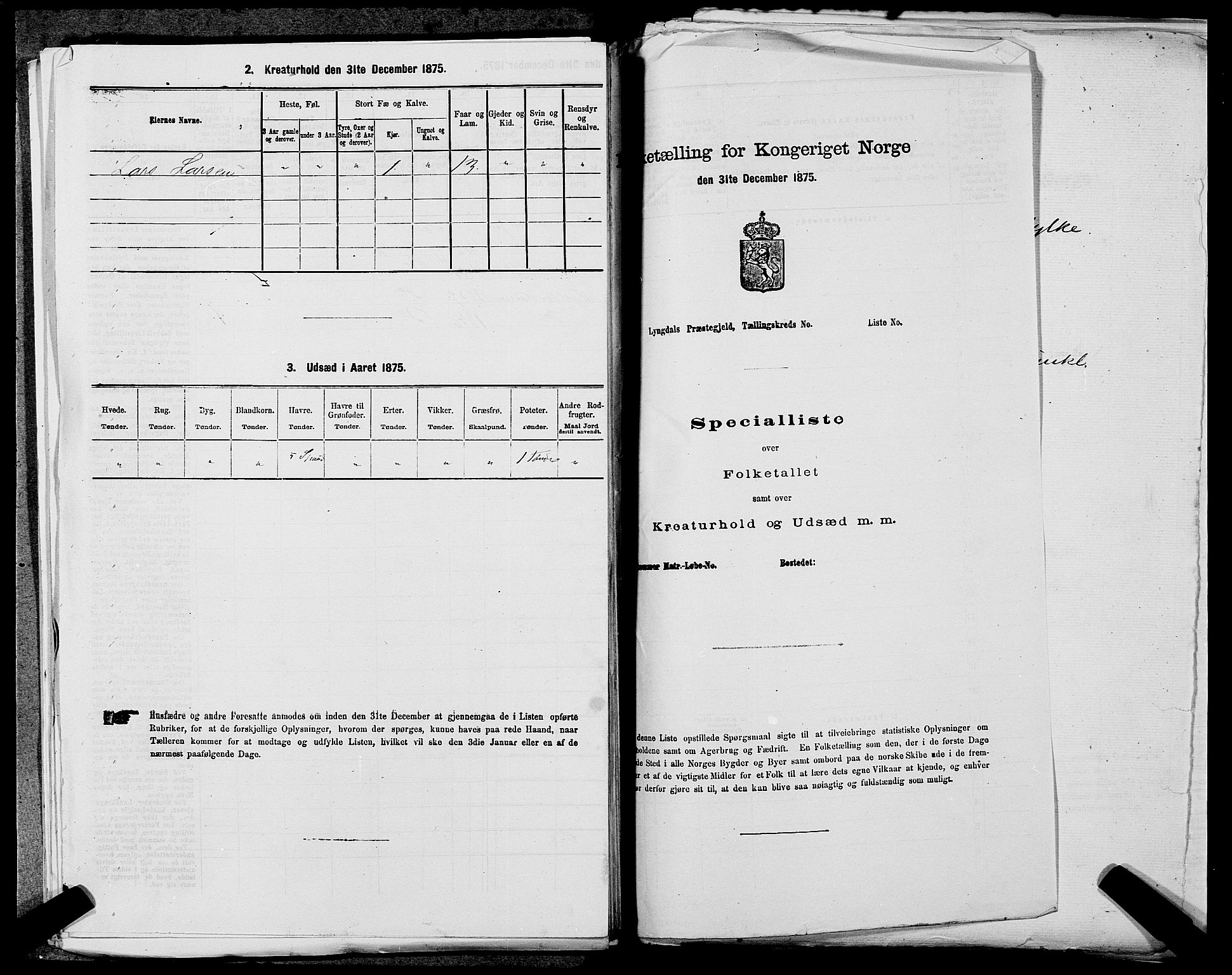 SAST, Folketelling 1875 for 1136P Sand prestegjeld, 1875, s. 261