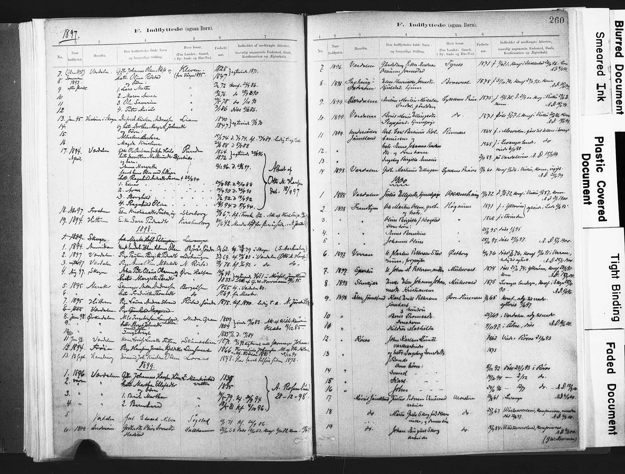 Ministerialprotokoller, klokkerbøker og fødselsregistre - Nord-Trøndelag, AV/SAT-A-1458/721/L0207: Ministerialbok nr. 721A02, 1880-1911, s. 260