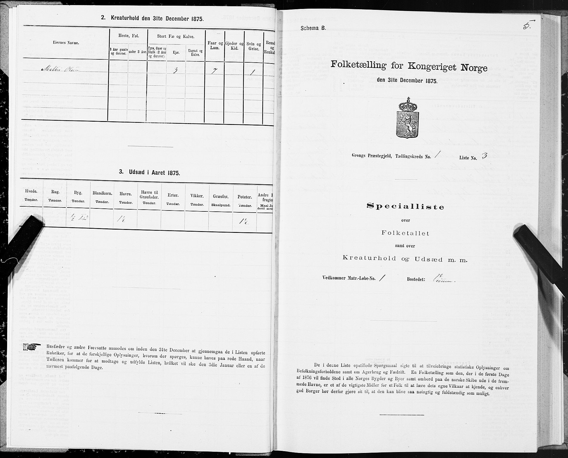 SAT, Folketelling 1875 for 1742P Grong prestegjeld, 1875, s. 1005