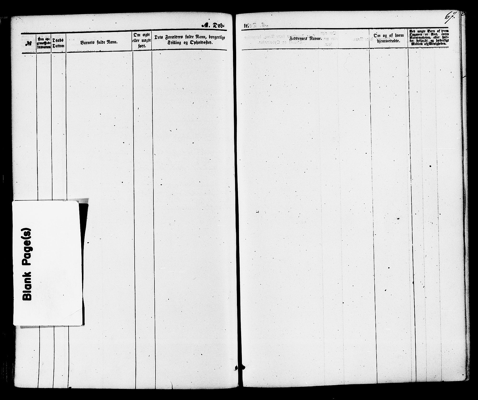 Gjerpen kirkebøker, AV/SAKO-A-265/F/Fa/L0009: Ministerialbok nr. I 9, 1872-1885, s. 67