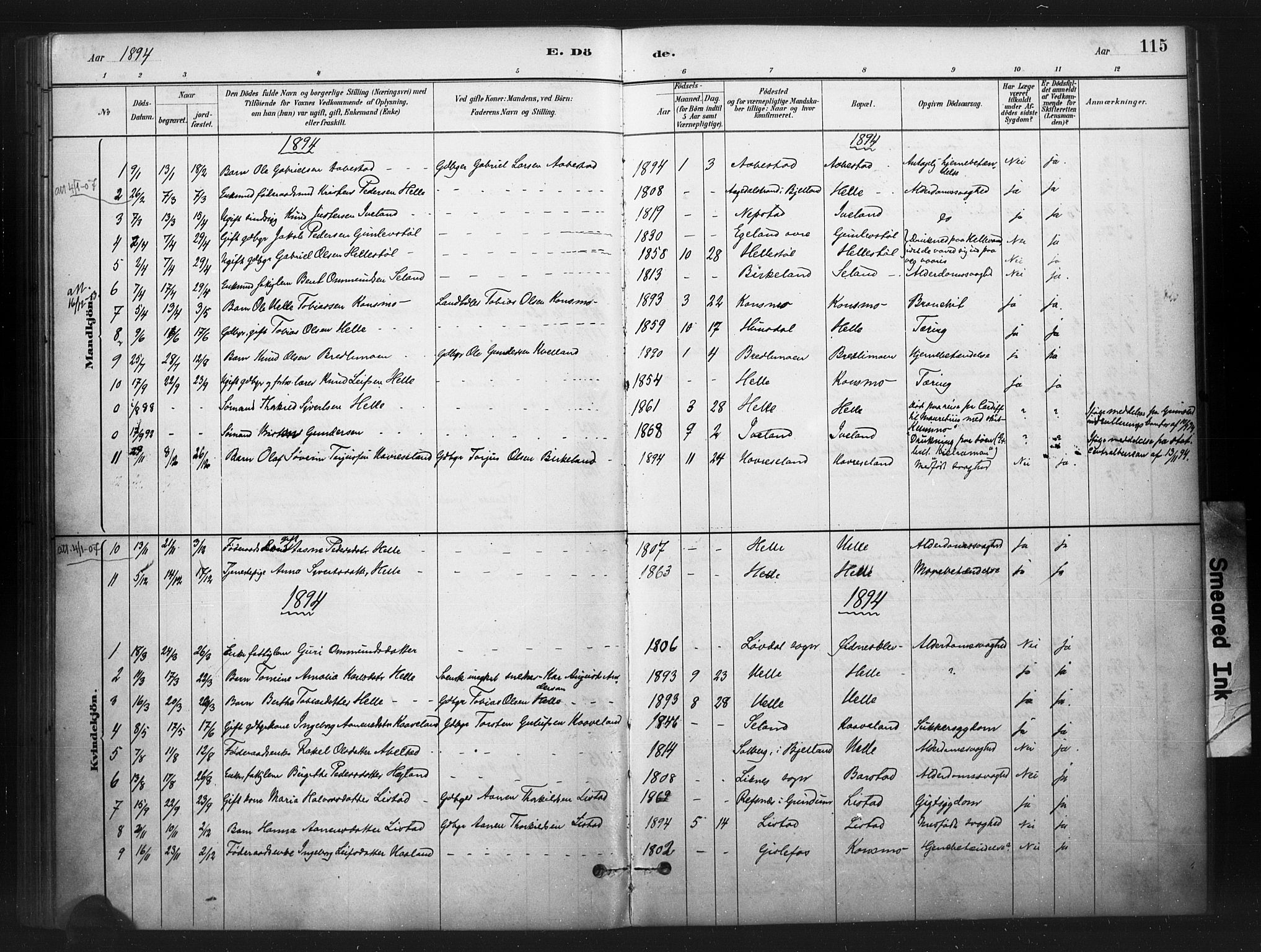 Nord-Audnedal sokneprestkontor, SAK/1111-0032/F/Fa/Faa/L0003: Ministerialbok nr. A 3, 1882-1900, s. 115