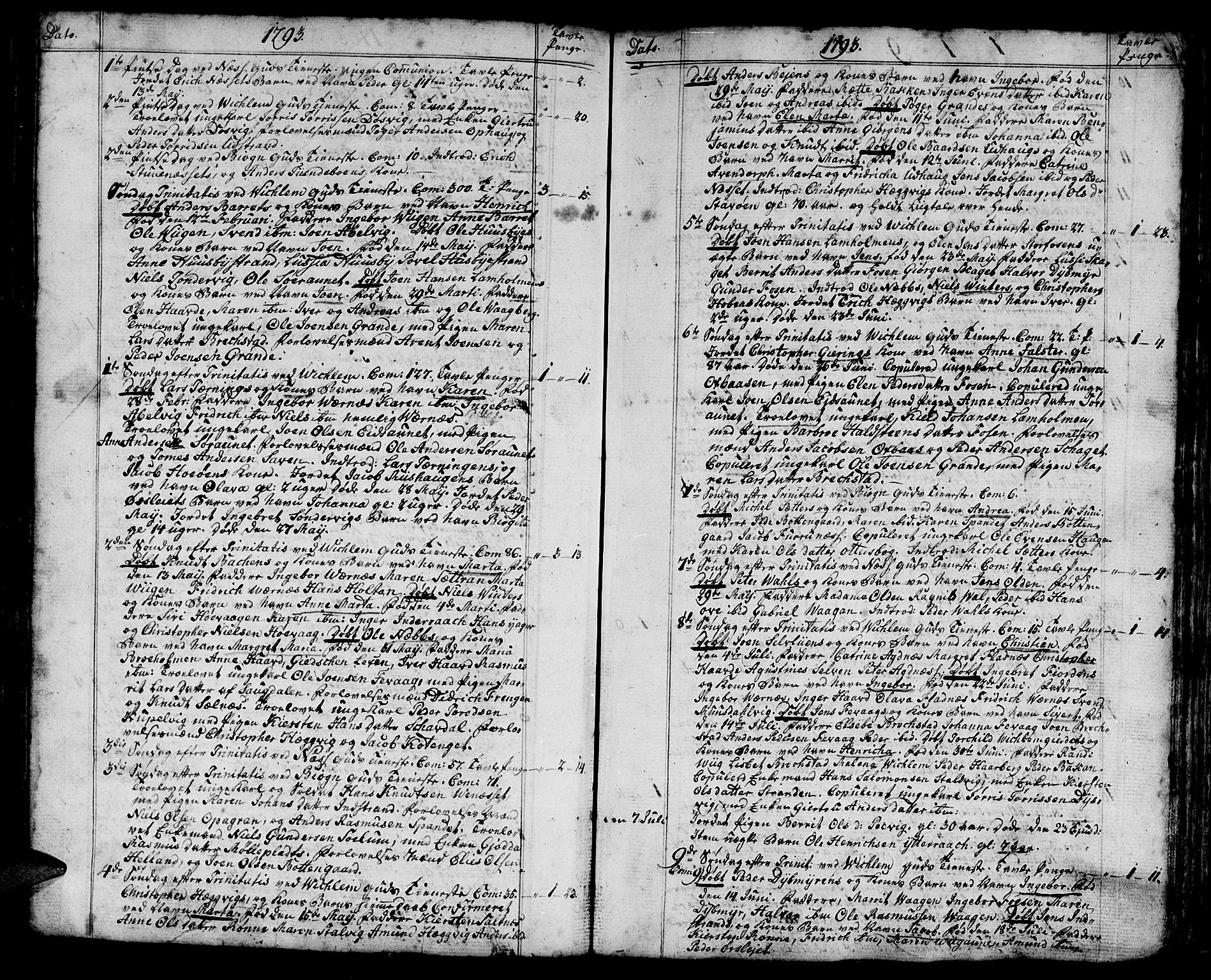 Ministerialprotokoller, klokkerbøker og fødselsregistre - Sør-Trøndelag, AV/SAT-A-1456/659/L0733: Ministerialbok nr. 659A03, 1767-1818
