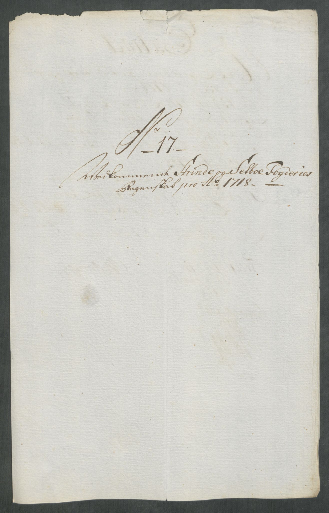 Rentekammeret inntil 1814, Reviderte regnskaper, Fogderegnskap, RA/EA-4092/R61/L4116: Fogderegnskap Strinda og Selbu, 1717-1718, s. 448