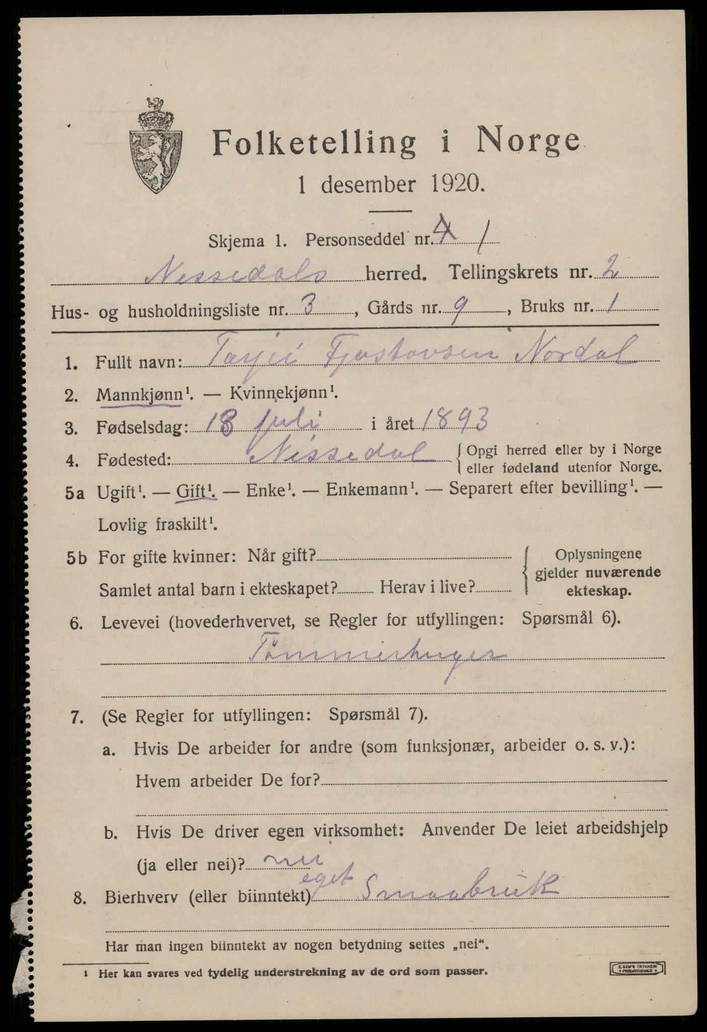 SAKO, Folketelling 1920 for 0830 Nissedal herred, 1920, s. 1291