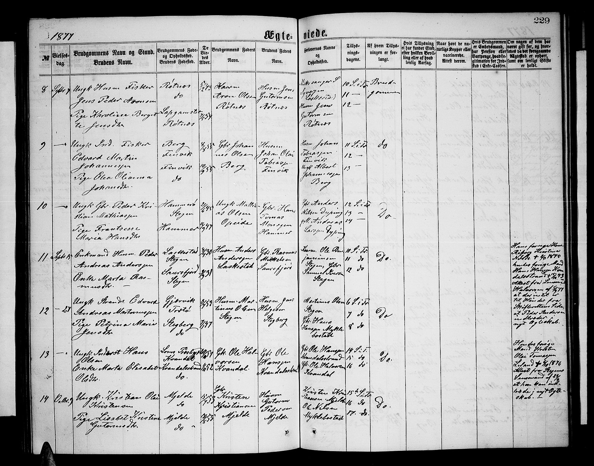 Ministerialprotokoller, klokkerbøker og fødselsregistre - Nordland, AV/SAT-A-1459/855/L0815: Klokkerbok nr. 855C04, 1865-1878, s. 229