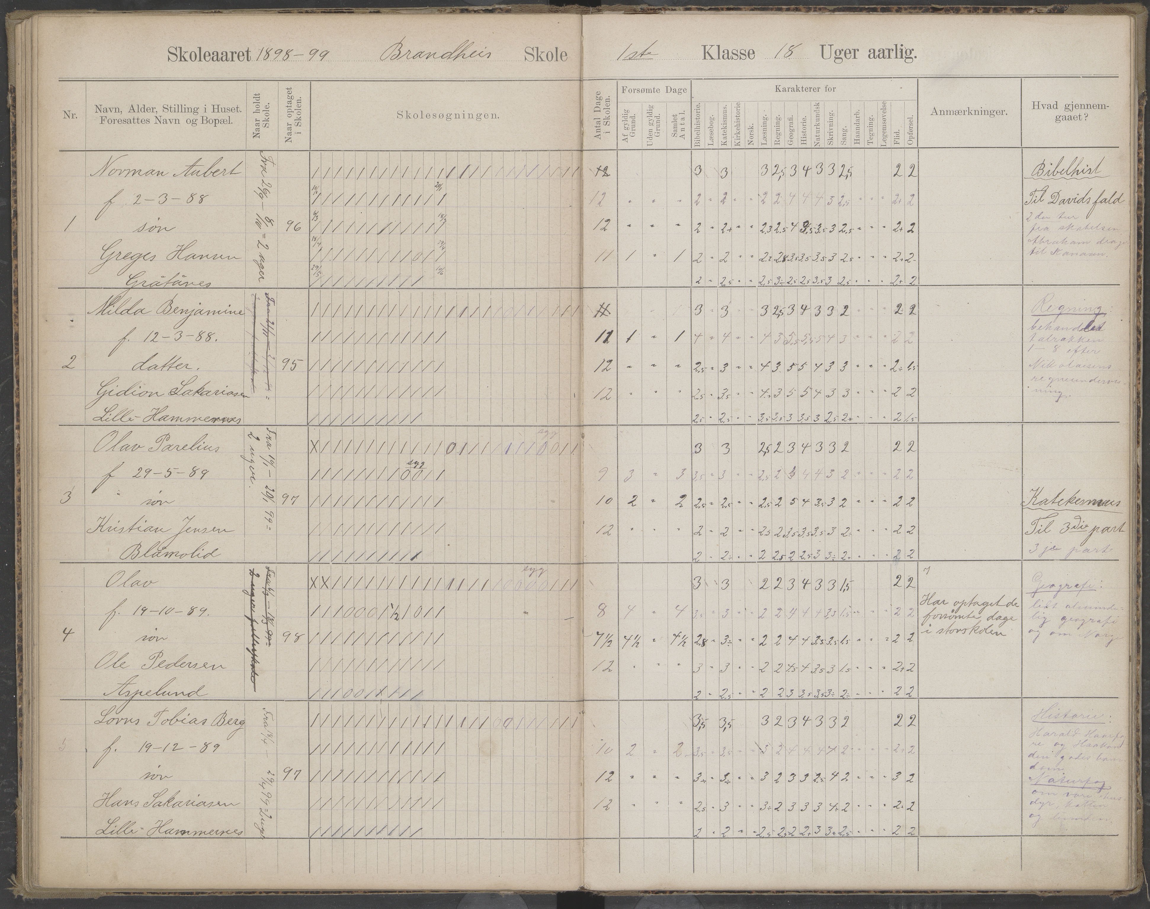 Beiarn kommune. Brandhei skolekrets, AIN/K-18390.510.03/442/L0003: Karakter/oversiktsprotokoll, 1893-1910