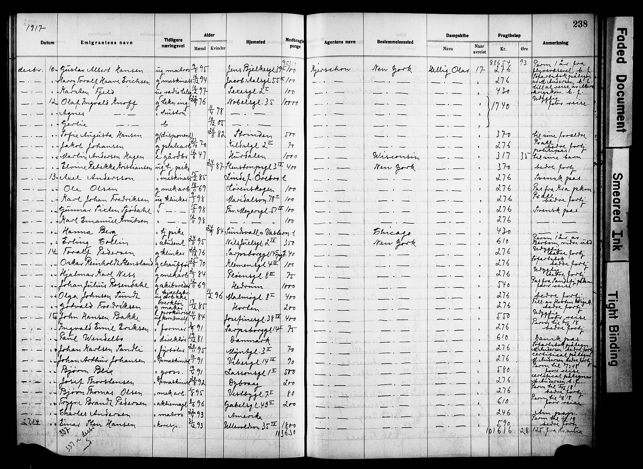 Oslo politidistrikt, AV/SAO-A-10085/E/Ee/Eef/L0032: Emigrantprotokoll, 1914-1919, s. 238