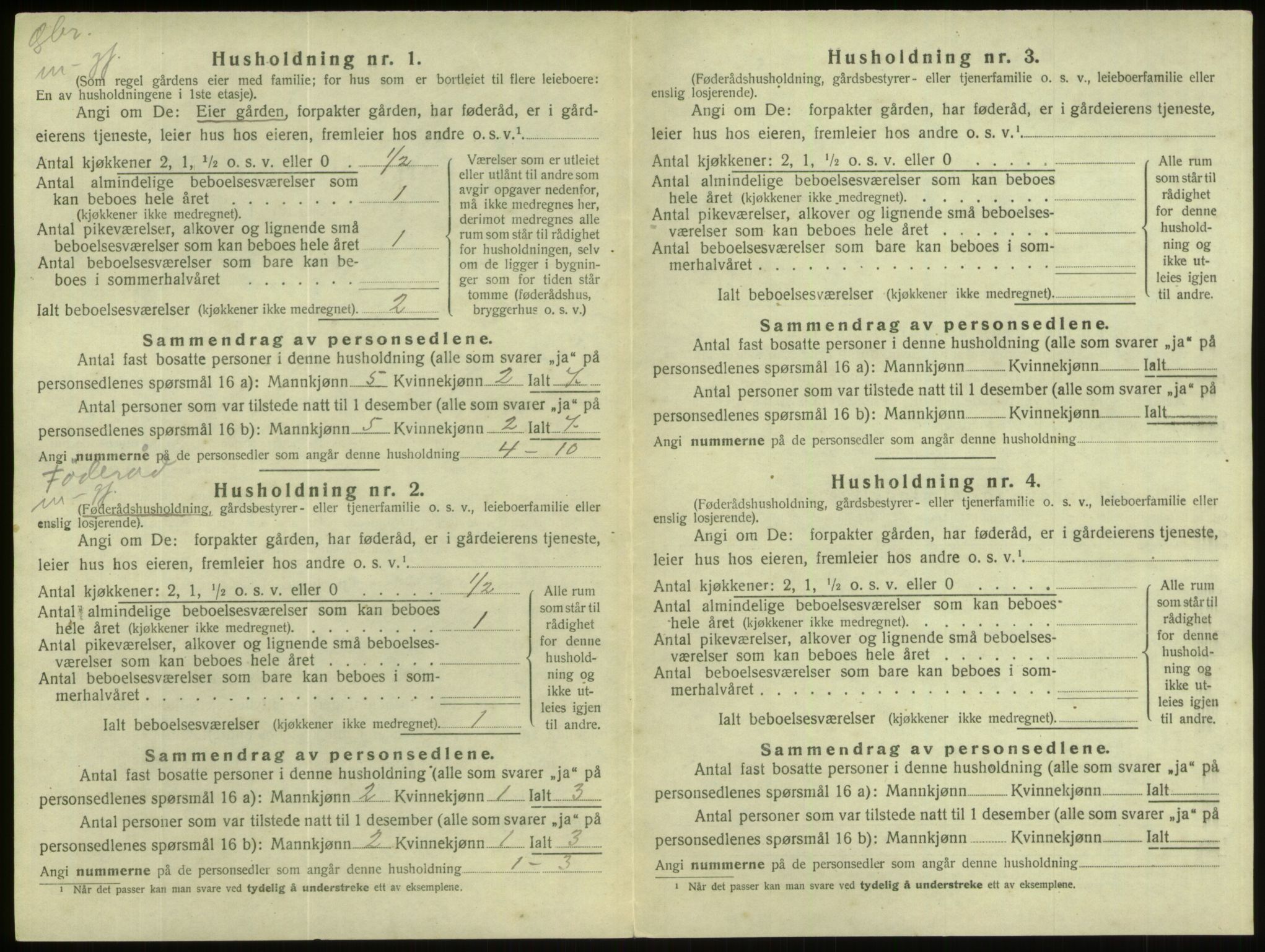 SAB, Folketelling 1920 for 1444 Hornindal herred, 1920, s. 215