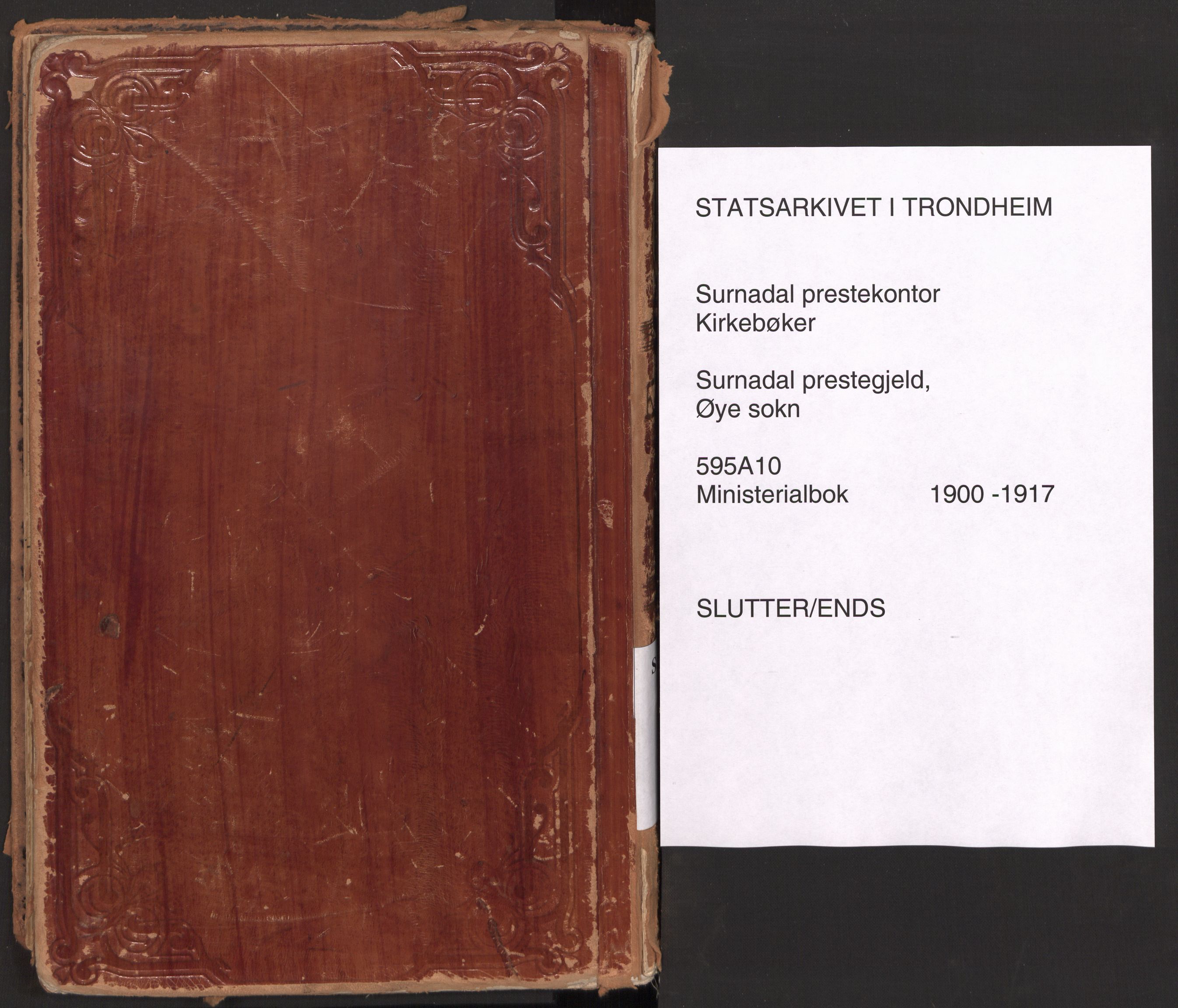 Ministerialprotokoller, klokkerbøker og fødselsregistre - Møre og Romsdal, SAT/A-1454/595/L1048: Ministerialbok nr. 595A10, 1900-1917