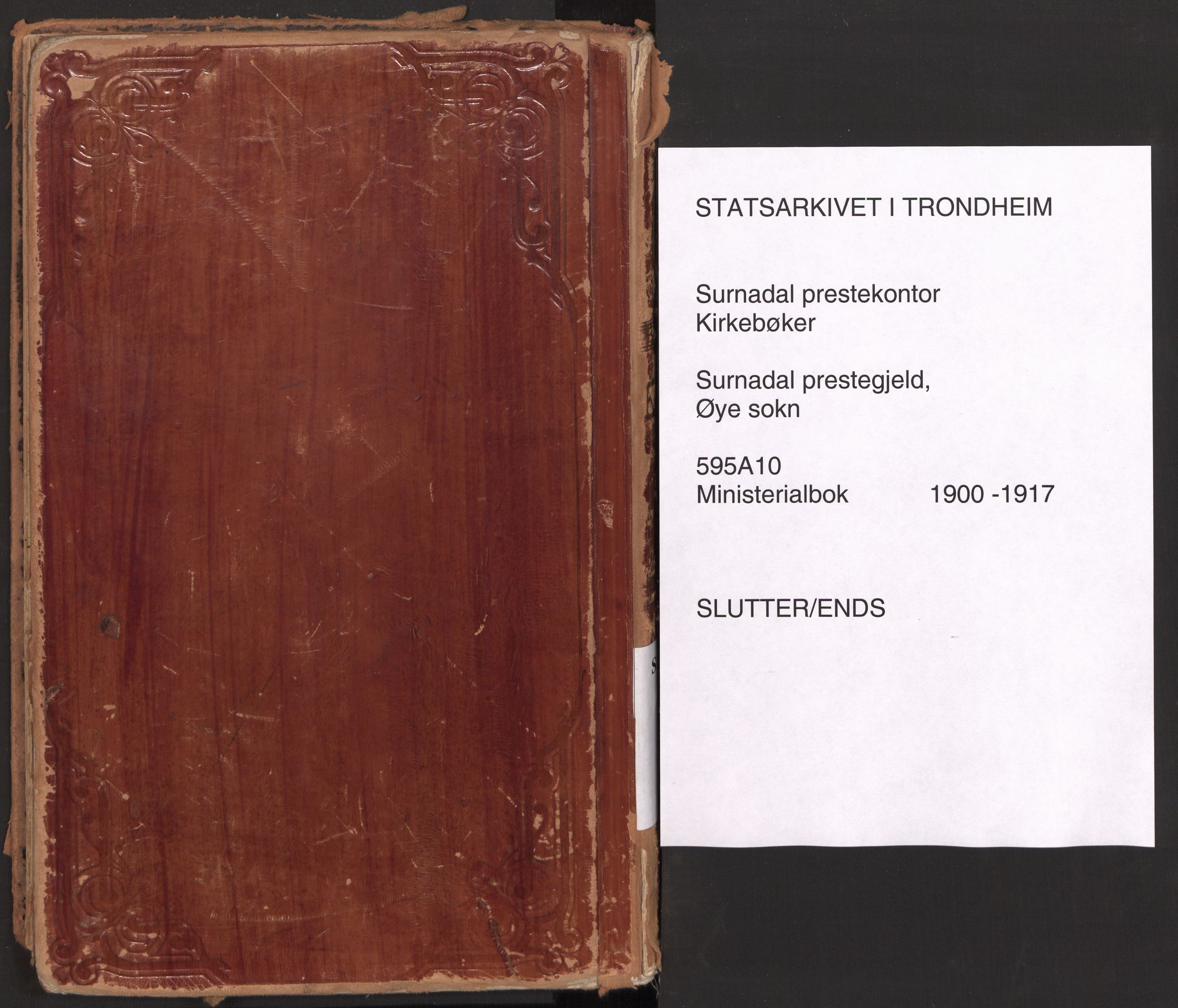 Ministerialprotokoller, klokkerbøker og fødselsregistre - Møre og Romsdal, AV/SAT-A-1454/595/L1048: Ministerialbok nr. 595A10, 1900-1917