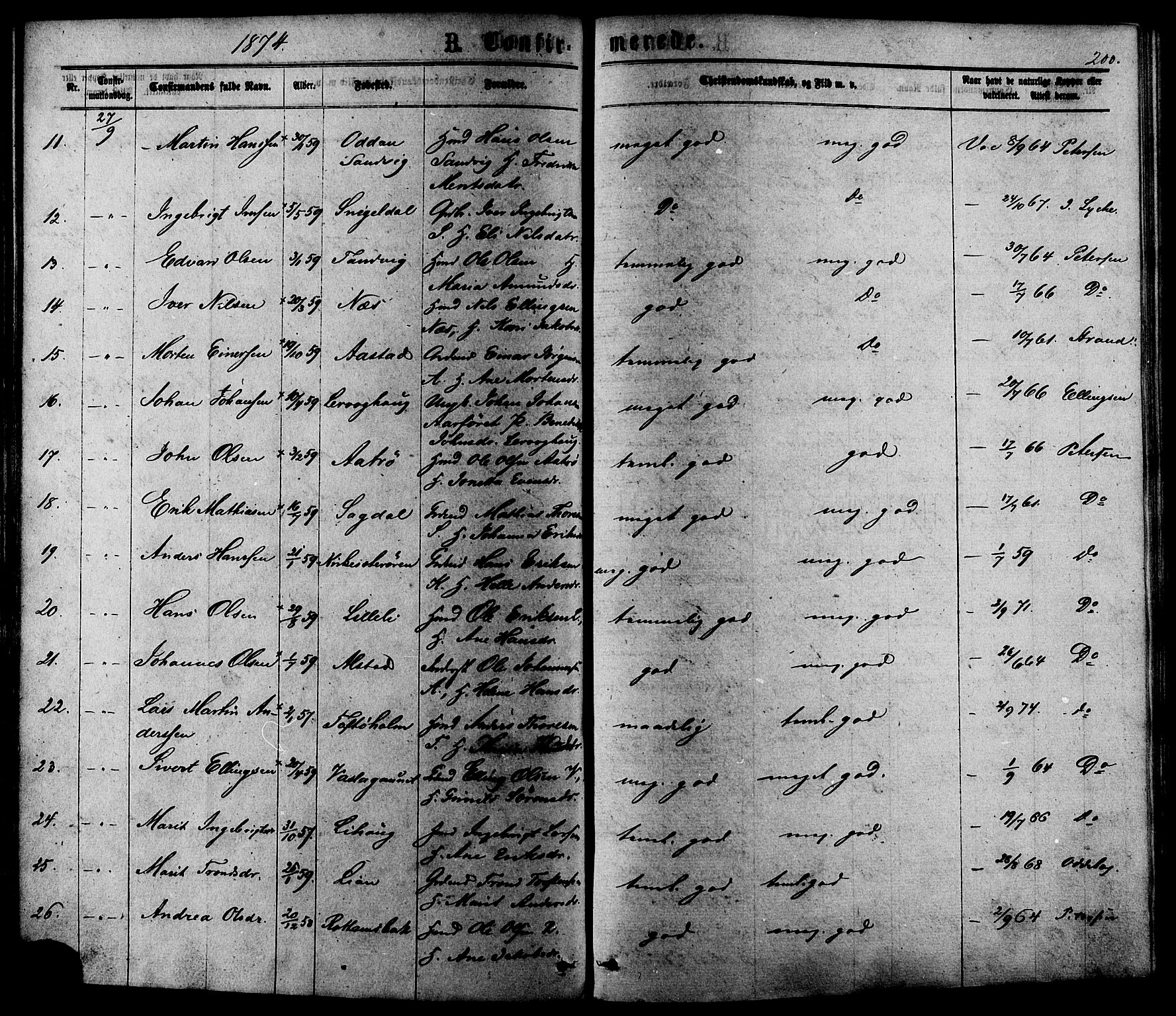 Ministerialprotokoller, klokkerbøker og fødselsregistre - Sør-Trøndelag, SAT/A-1456/630/L0495: Ministerialbok nr. 630A08, 1868-1878, s. 200