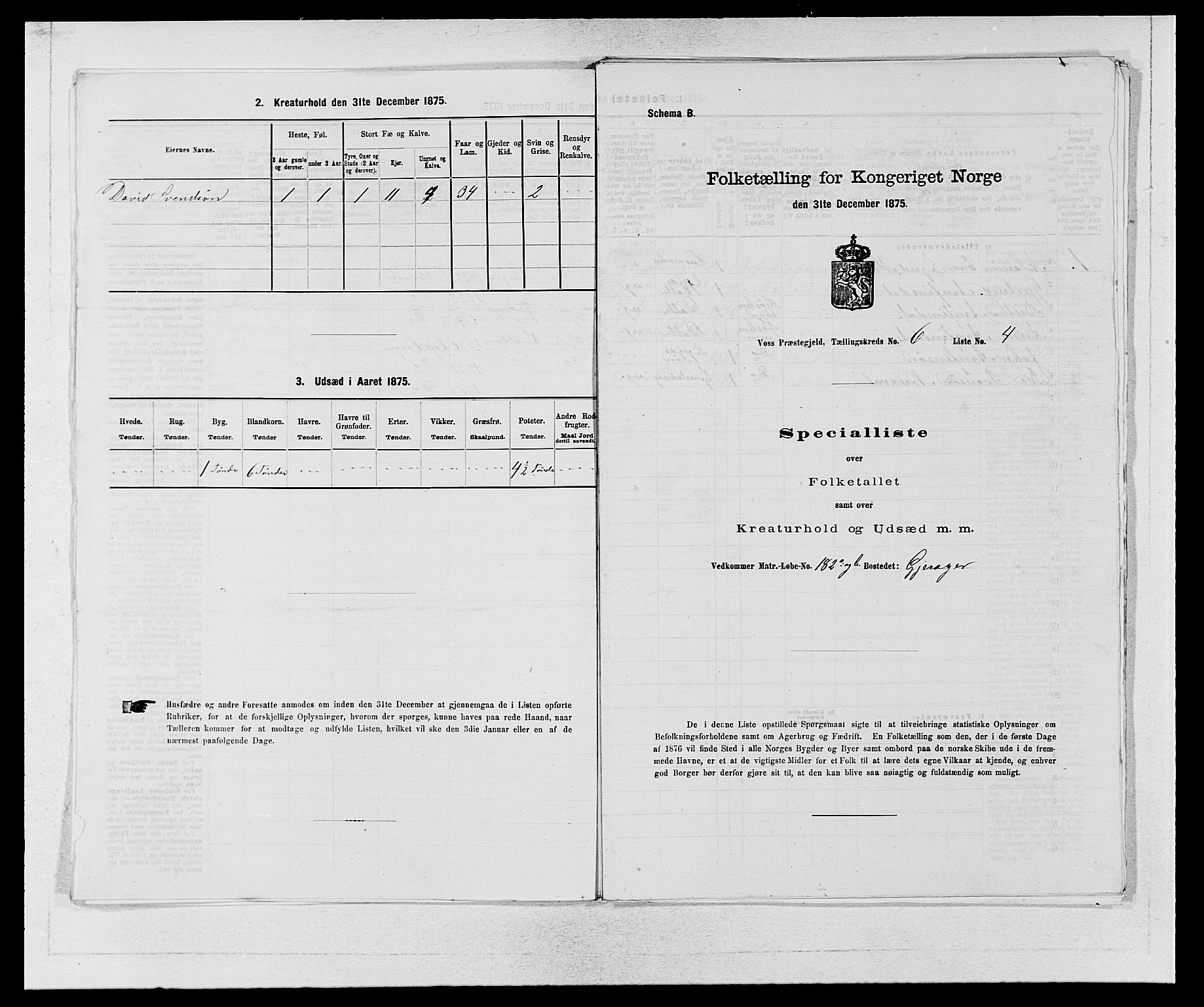 SAB, Folketelling 1875 for 1235P Voss prestegjeld, 1875, s. 707