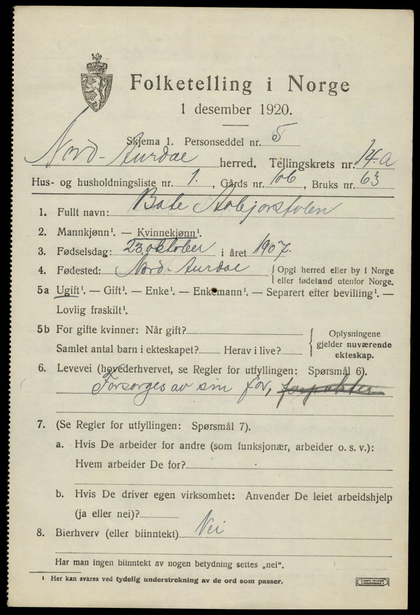 SAH, Folketelling 1920 for 0542 Nord-Aurdal herred, 1920, s. 10992