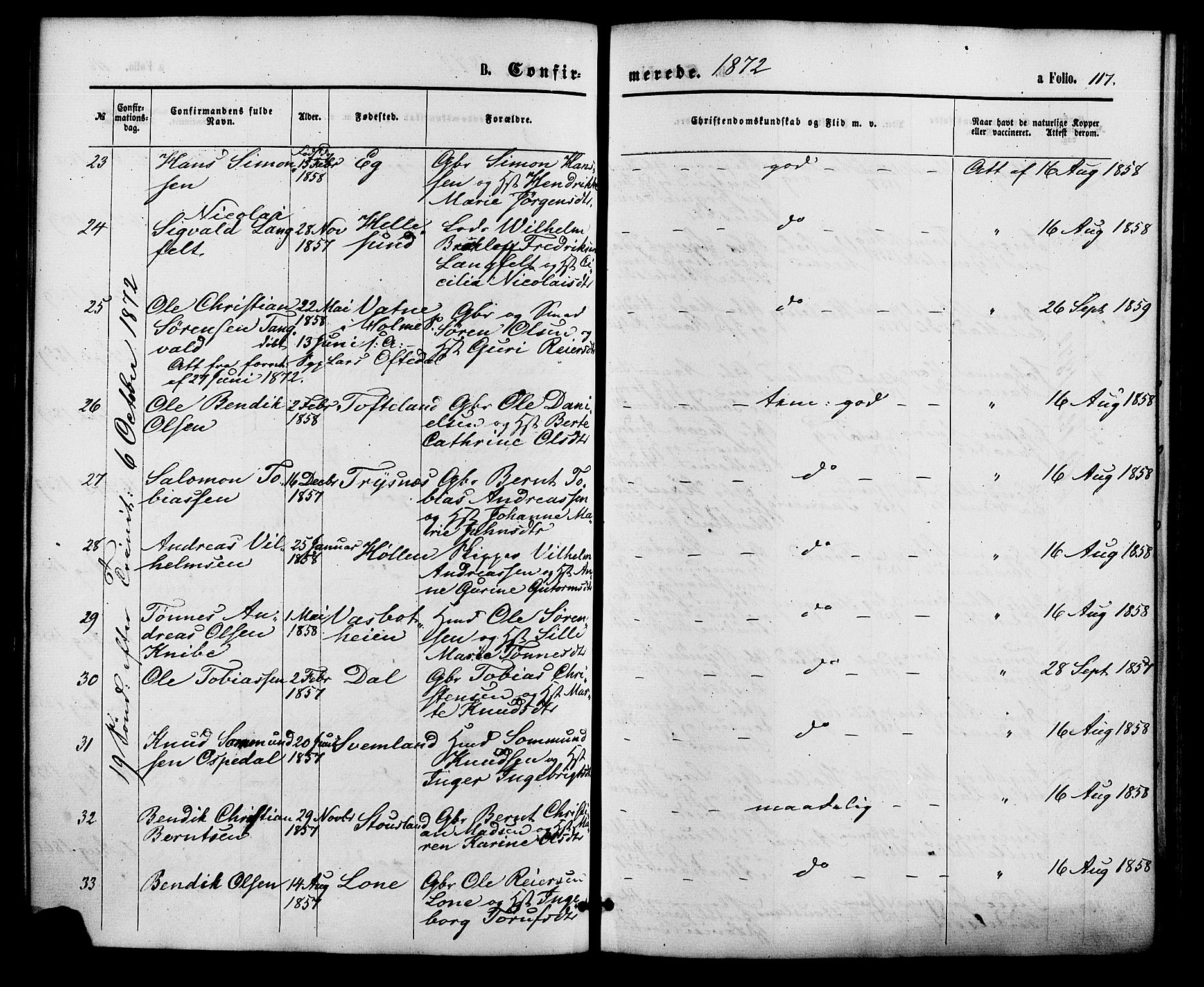 Søgne sokneprestkontor, SAK/1111-0037/F/Fa/Fab/L0011: Ministerialbok nr. A 11, 1869-1879, s. 117