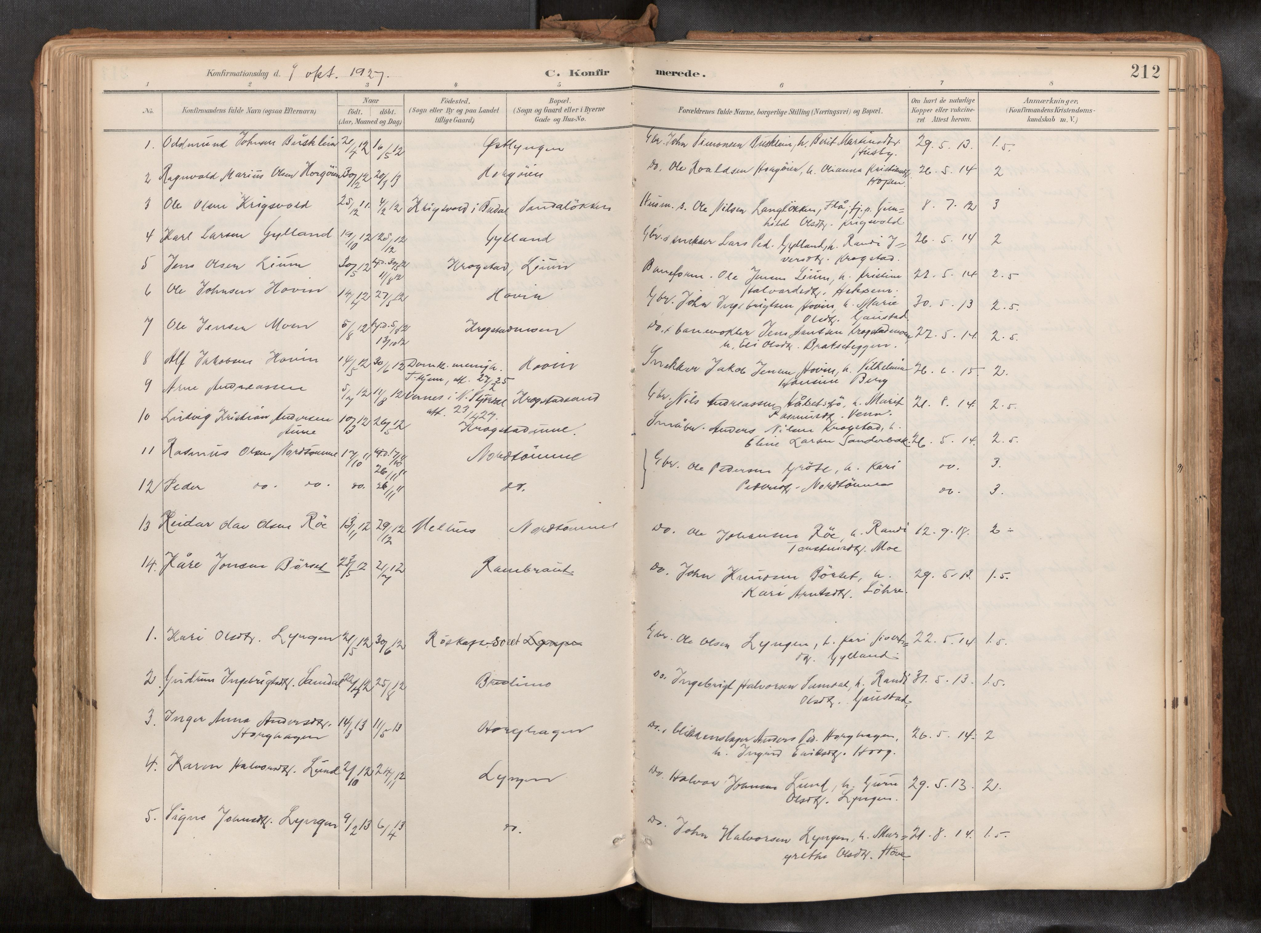 Ministerialprotokoller, klokkerbøker og fødselsregistre - Sør-Trøndelag, AV/SAT-A-1456/692/L1105b: Ministerialbok nr. 692A06, 1891-1934, s. 212