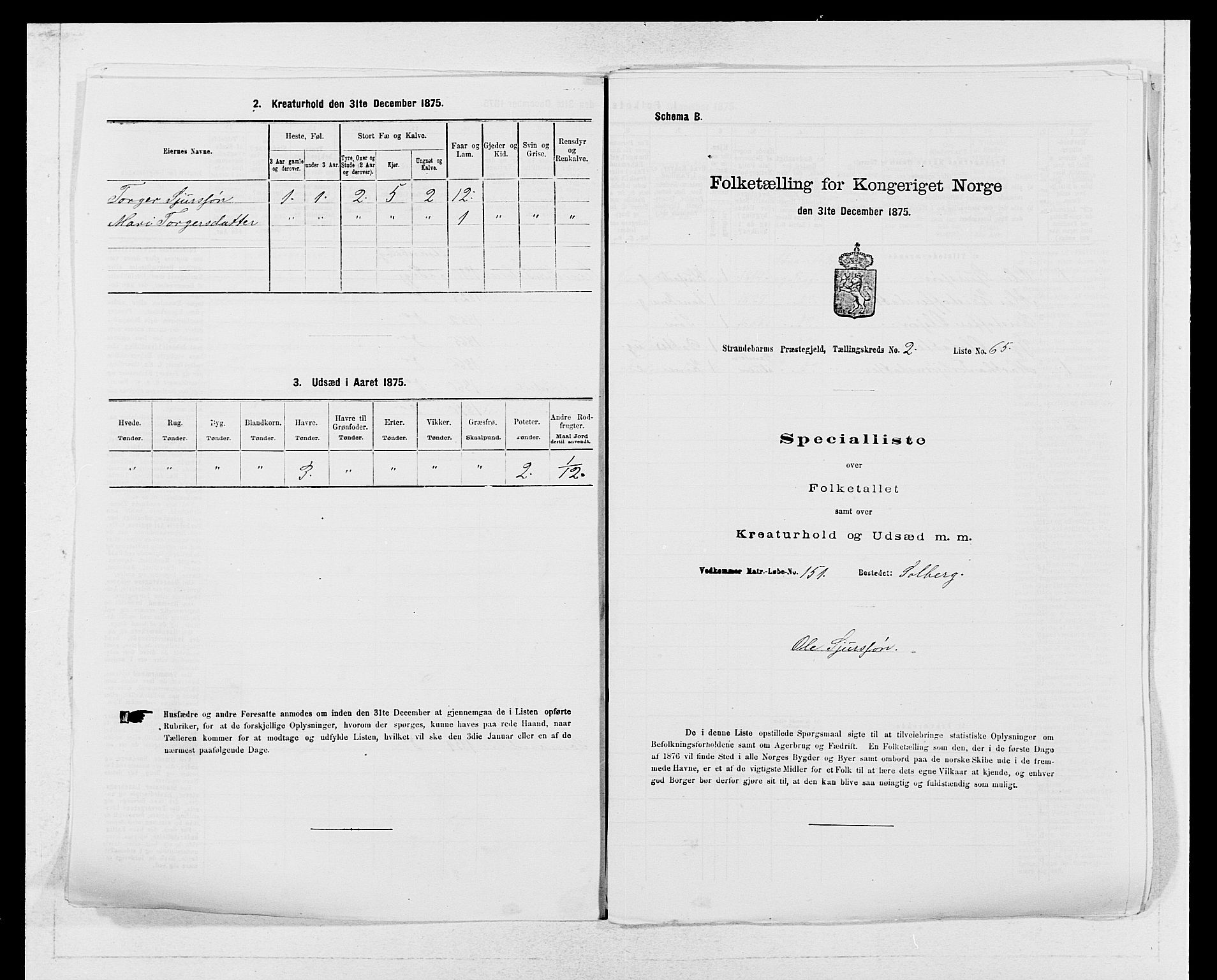 SAB, Folketelling 1875 for 1226P Strandebarm prestegjeld, 1875, s. 305