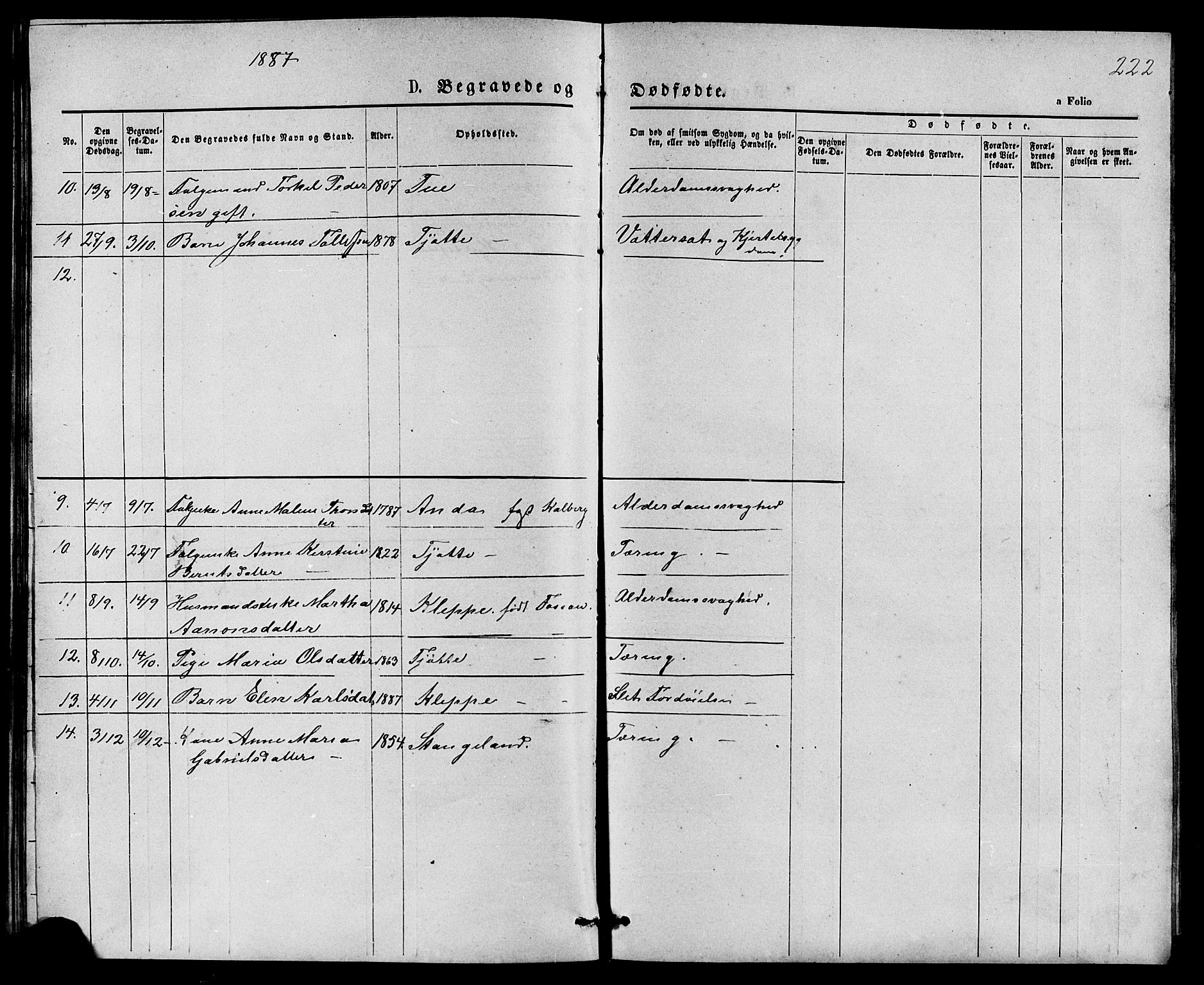 Klepp sokneprestkontor, AV/SAST-A-101803/001/3/30BB/L0003: Klokkerbok nr. B 3, 1876-1888, s. 222