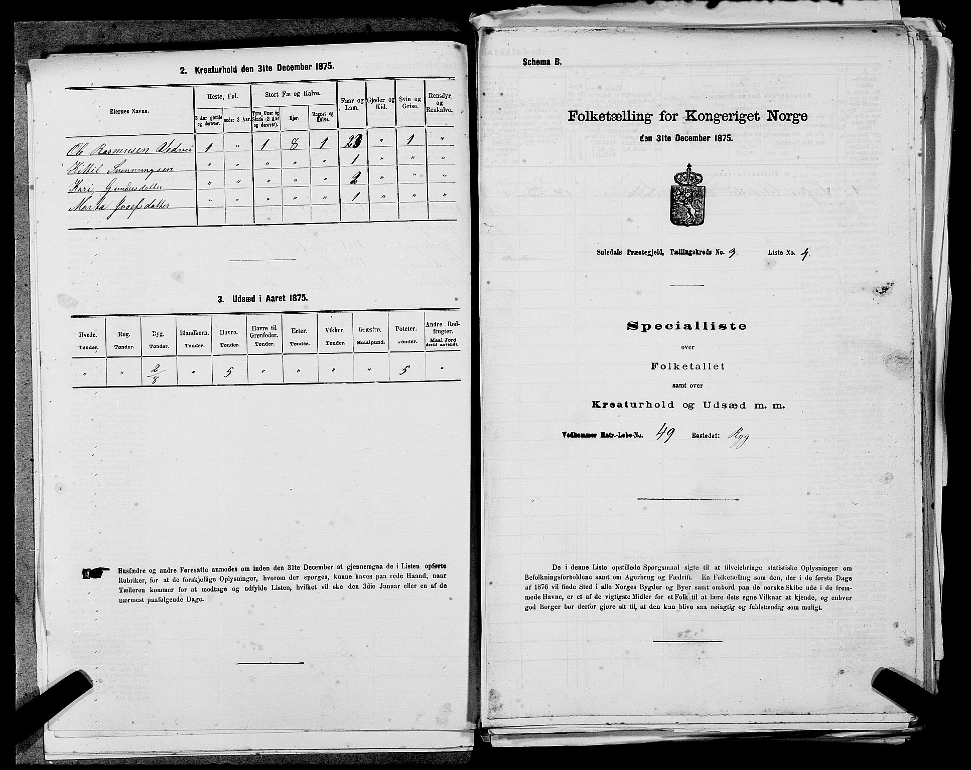 SAST, Folketelling 1875 for 1134P Suldal prestegjeld, 1875, s. 383